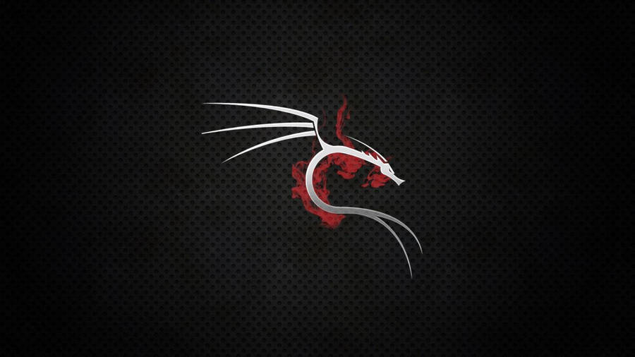 銀色龍配紅色火焰在深色穿孔背景上 — Kali Linux 壁紙