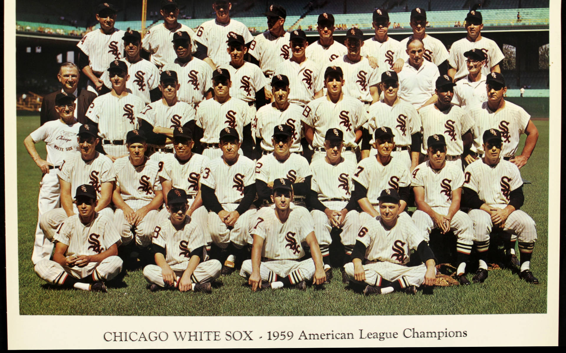 Chicago White Sox 桌布 壁紙 — 1959年芝加哥白襪棒球隊身穿白色細條紋球衣，在陽光明媚的綠色球場上自豪地擺姿勢的復古照片。