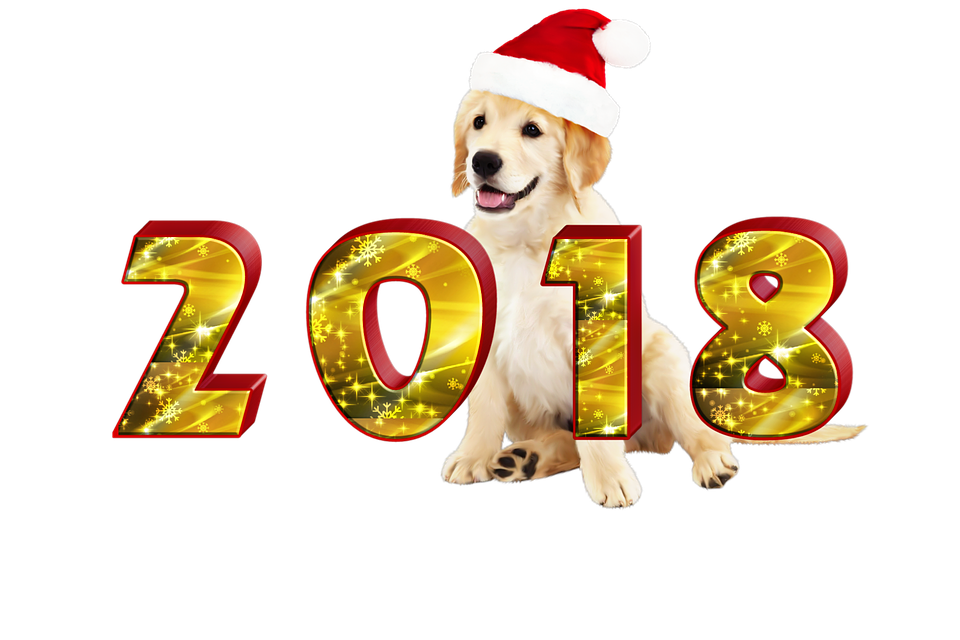 2018新年黃金獵犬聖誕帽 壁紙