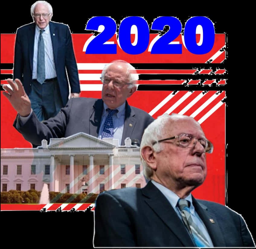 伯尼·桑德斯2020競選拼貼 壁紙