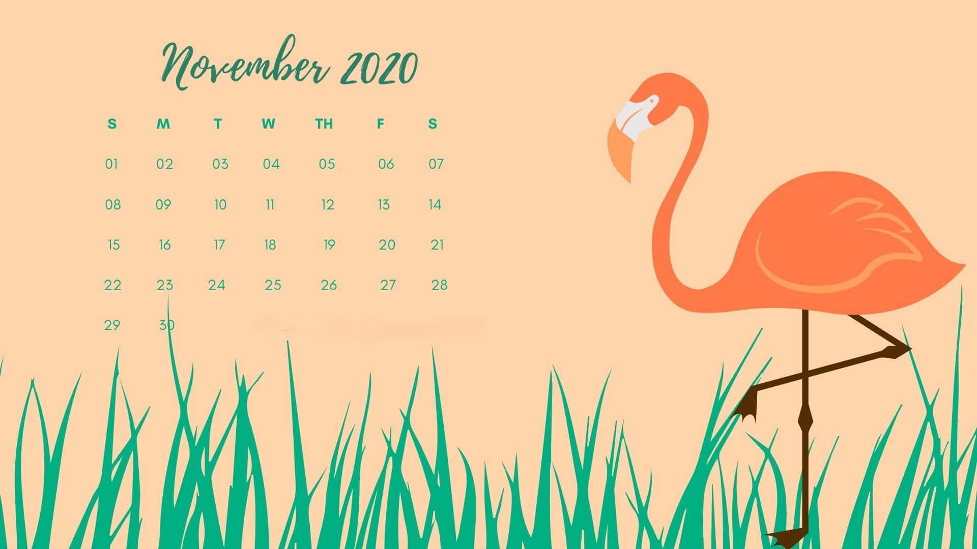 Calendar 桌布 壁紙 — 2020年11月月曆，粉紅色紅鶴站在綠色草地上，背景為桃色。