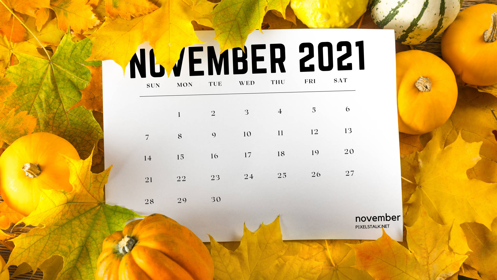2021 Calendar 桌布 壁紙 — 2021年11月的日曆放在金色秋葉和橙色南瓜上。