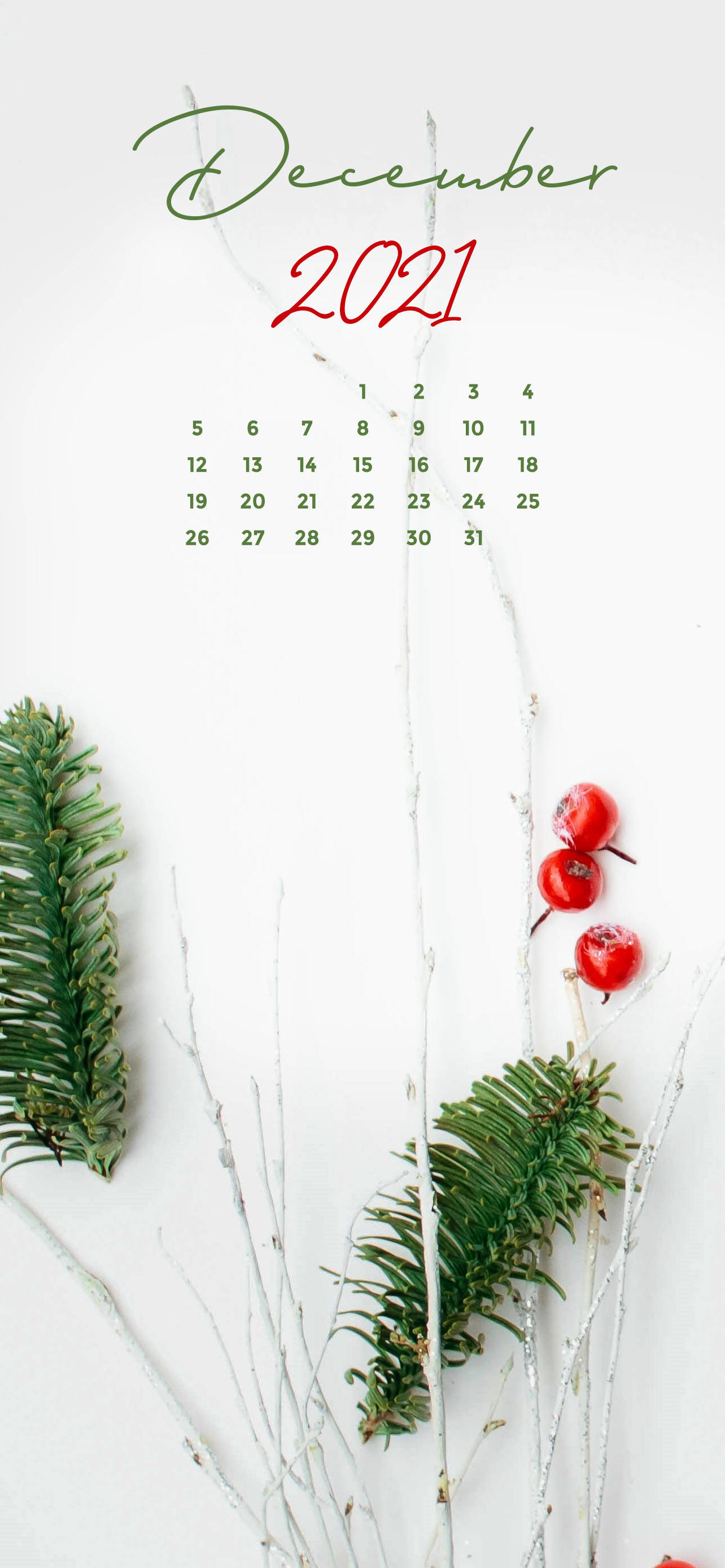 十二月 桌布 壁紙 — 2021年12月日曆，綠色松枝、紅色漿果和光禿禿的樹枝在潔白的背景上。