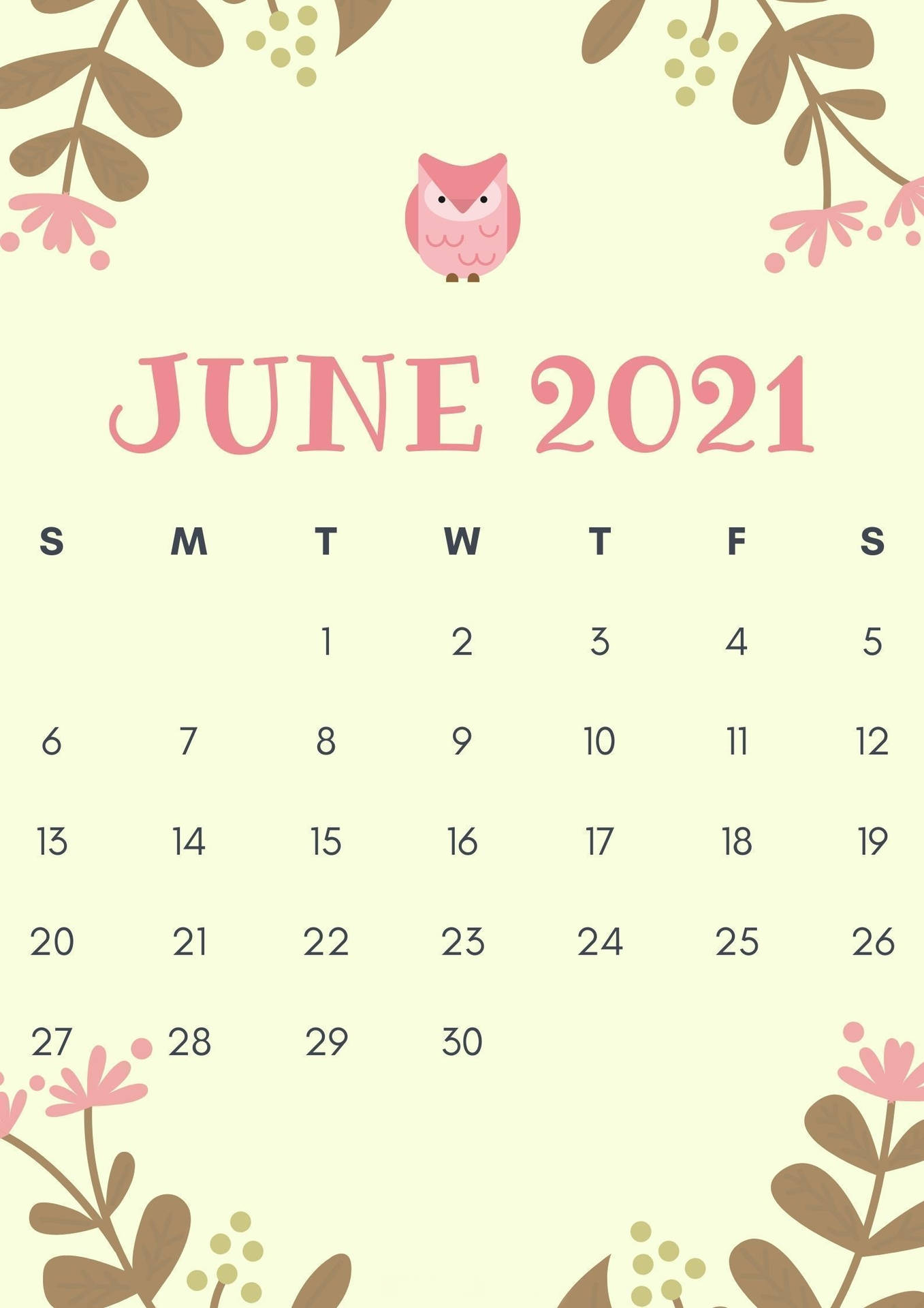 2021年6月日曆，配有粉紅色貓頭鷹和花卉點綴。