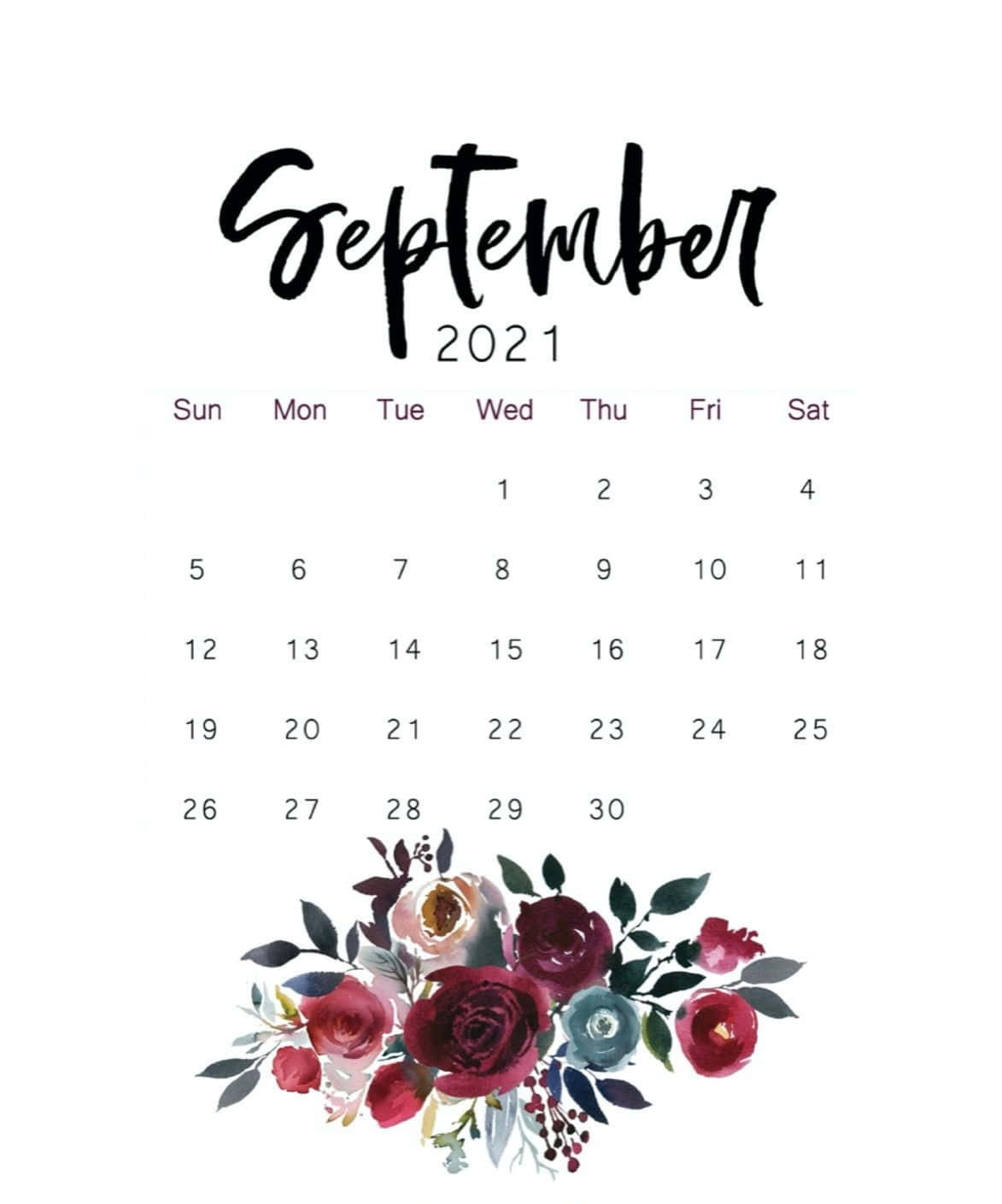 September 桌布 壁紙 — 2021年9月日曆，底部有優雅的黑色字體和酒紅色與藍綠色的水彩花卉佈置。