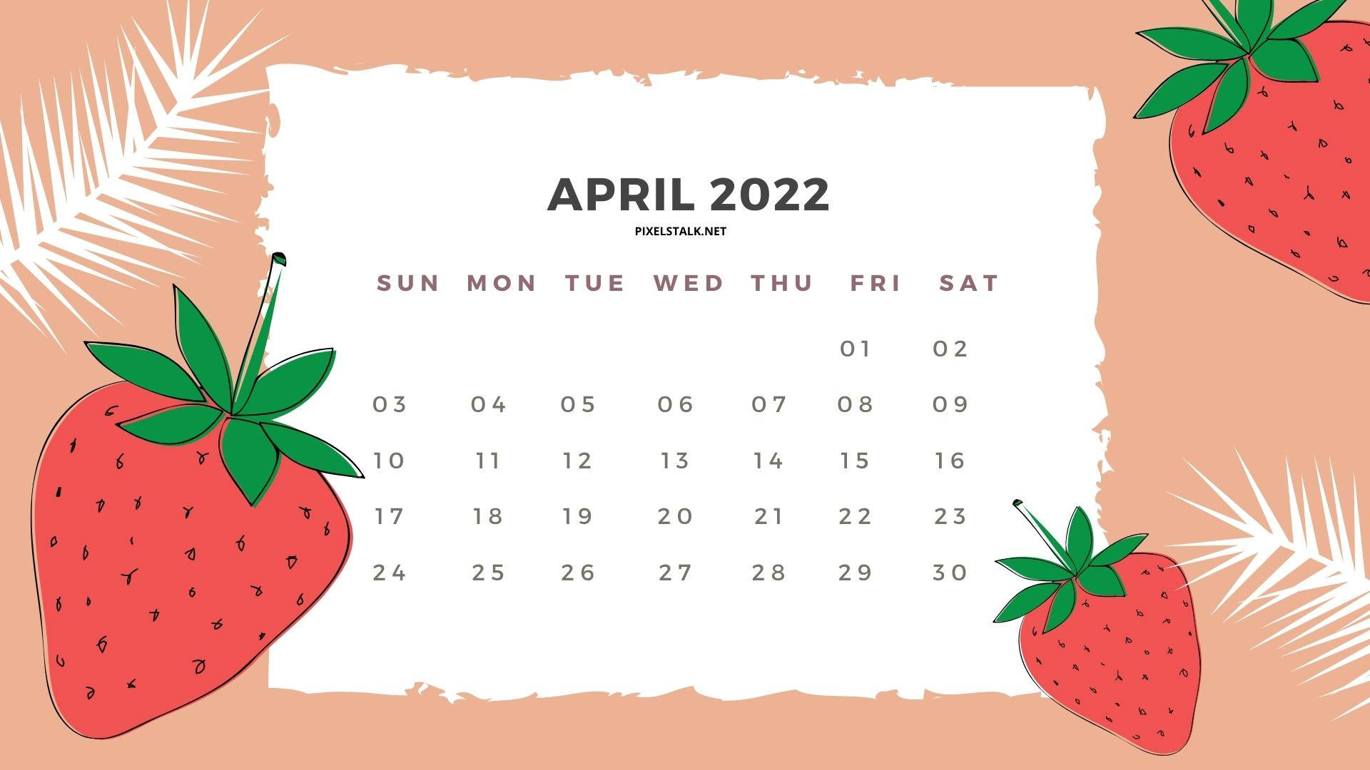 草莓 桌布 壁紙 — 2022年4月日曆，桃色背景上配有插圖草莓和棕櫚葉。