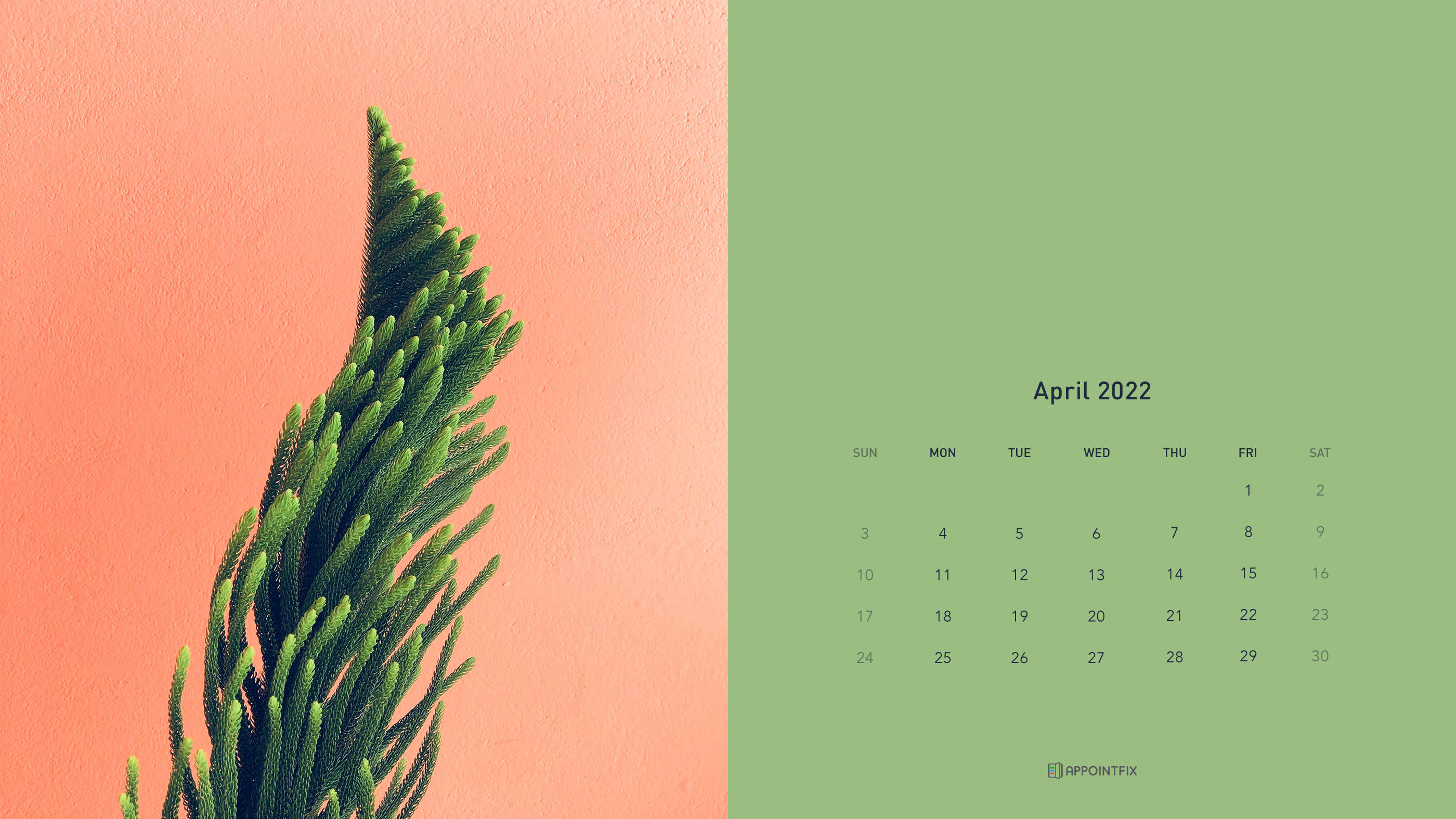 月曆 桌布 壁紙 — 2022年4月的簡約日曆，背景分為珊瑚色和鼠尾草綠色，左側有一棵帶刺的綠色植物。