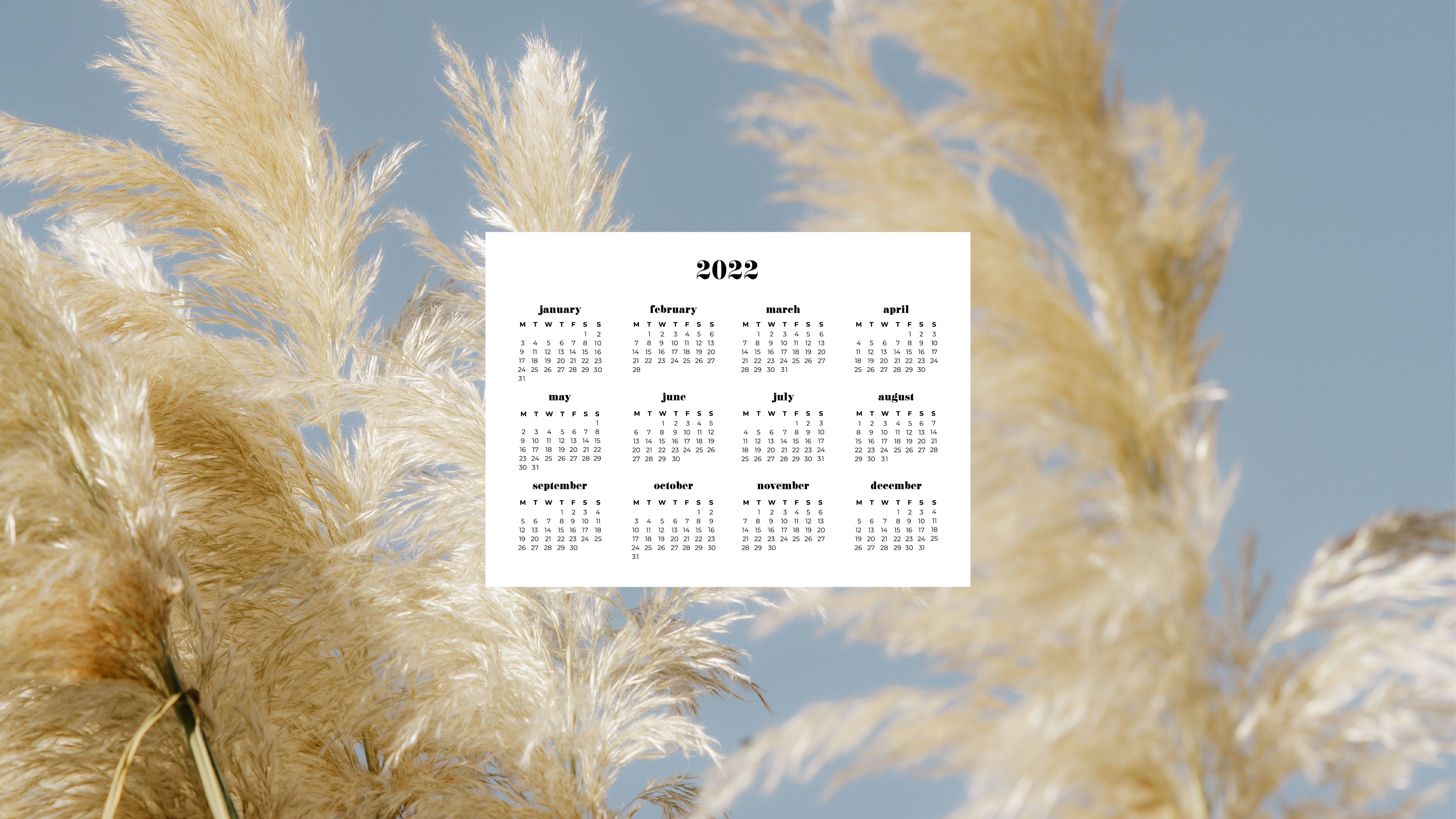 Calendar 桌布 壁紙 — 2022年年曆漂浮在柔軟的金色蒲葦草叢中，背景是清澈的藍天。