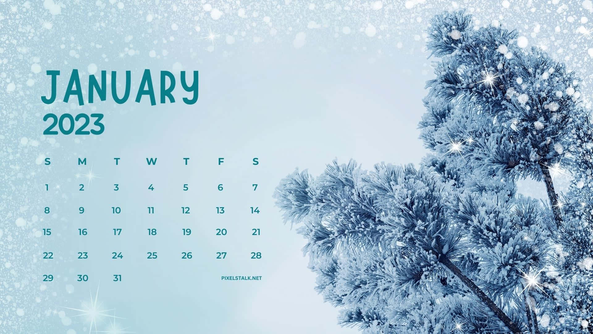 Hello January 桌布 壁紙 — 2023年1月月曆，帶有結霜的松樹枝和閃閃發光的雪花，背景為柔和藍色。