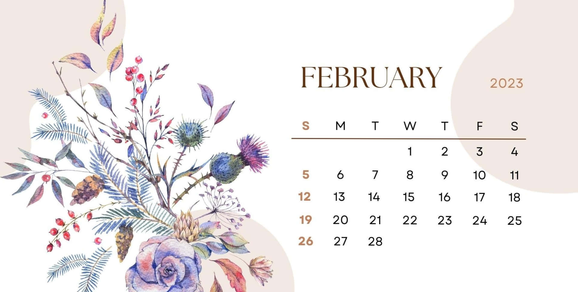 桌布 壁紙 — 2023年2月的精緻水彩花卉月曆，帶有薊花、玫瑰和松果，置於柔和米色抽象形狀上。