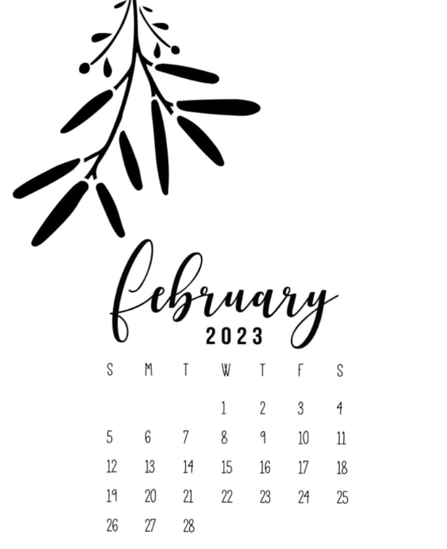 桌布 壁紙 — 2023年2月簡約黑白日曆，帶有優雅字體和左上角風格化的樹葉枝條。