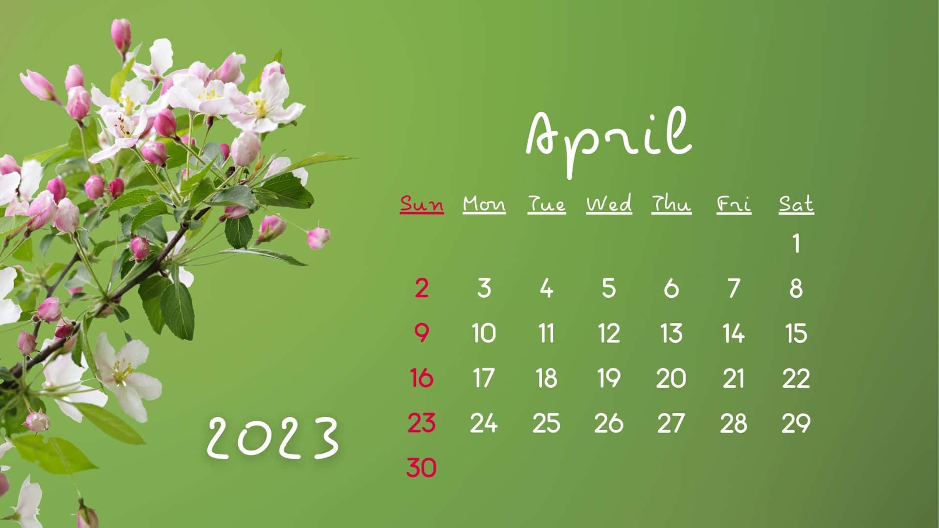 April 2023 Calendar 桌布 壁紙 — 2023年4月日曆，柔和的綠色背景上盛開粉紅色和白色的花朵。