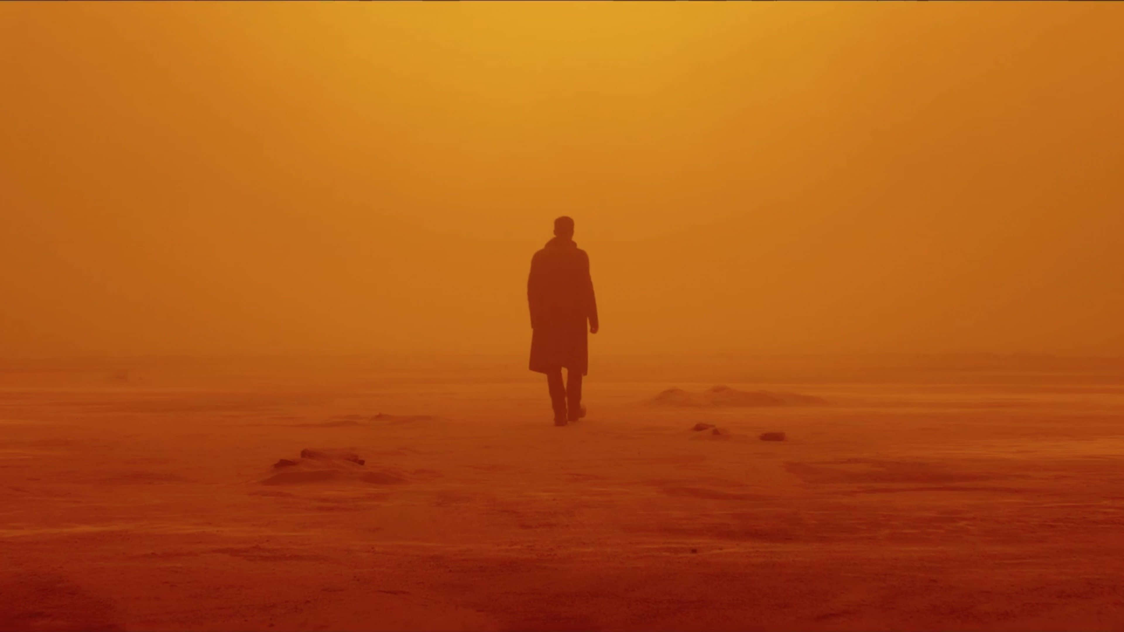 銀翼殺手2049 背景 壁紙