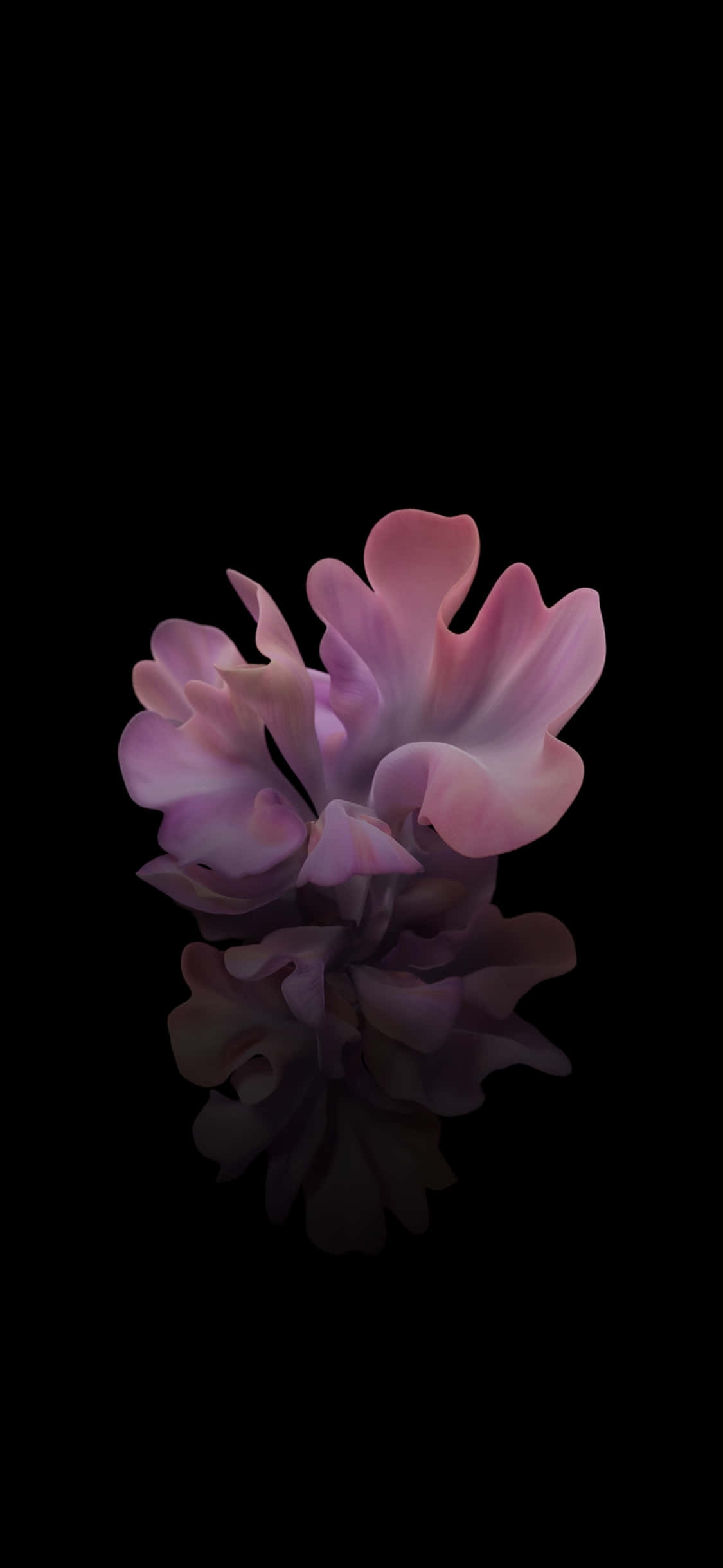 3D 黑色與粉色花朵 壁紙
