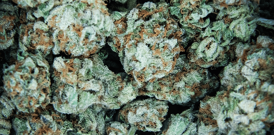 充滿活力的420慶祝背景 壁紙