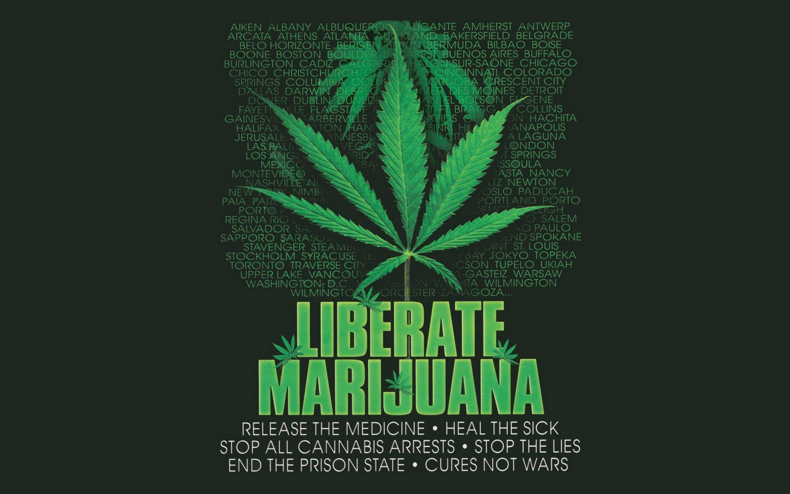 寧靜時刻：420文化啟發的春季森林林間恬靜景色 壁紙