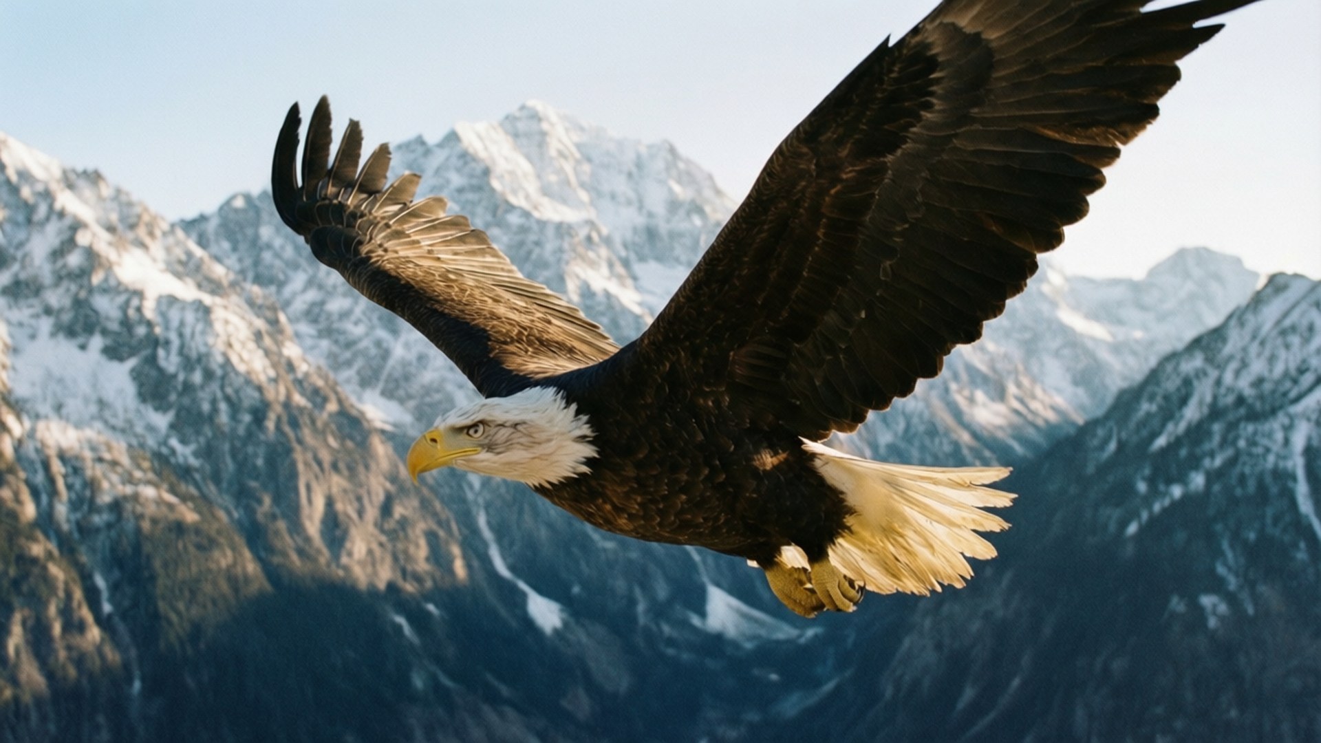 Bald Eagle Soaring 壁紙 — 一隻白頭鷹展翅翱翔，背景是晴朗天空下白雪覆蓋的山峰。