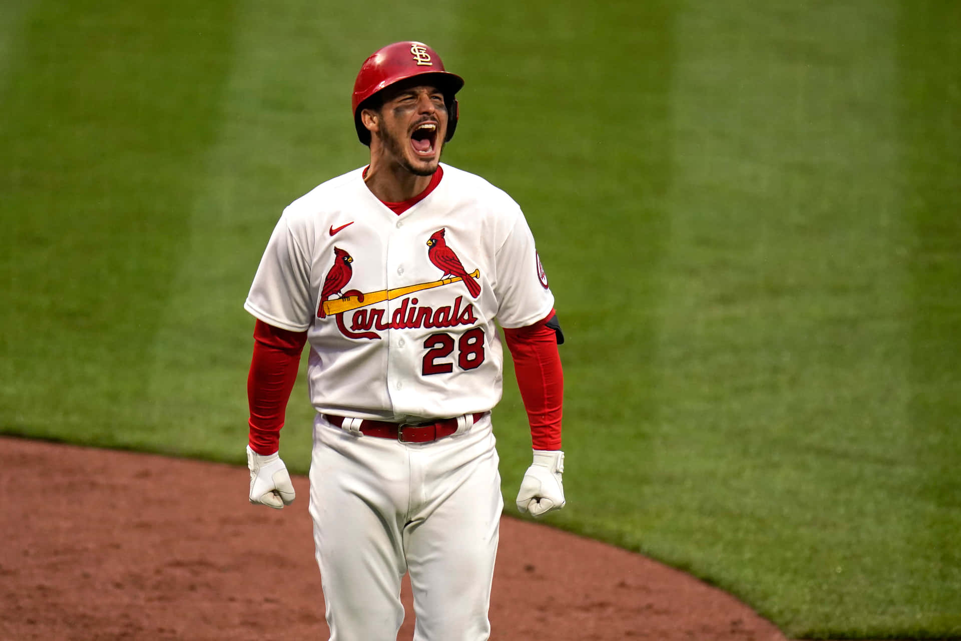  壁紙 — 一名身穿紅雀隊球衣的棒球選手在球場燈光下的綠色場地上發出勝利的咆哮。