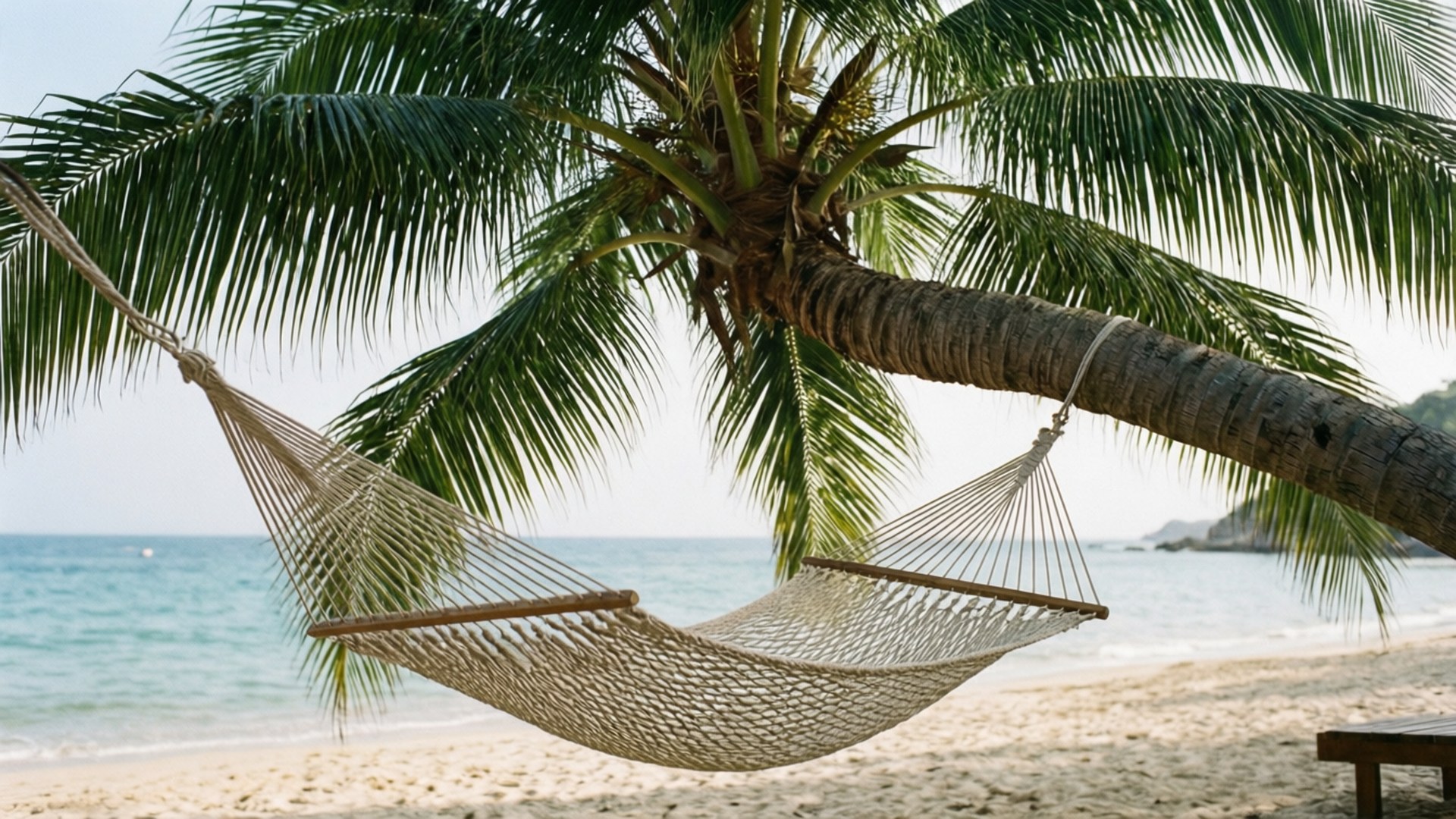 Hammock Relaxation Palm 壁紙 — 一個米色編織吊床掛在沙灘上茂密的綠色棕櫚樹上，背景是碧綠的海浪。