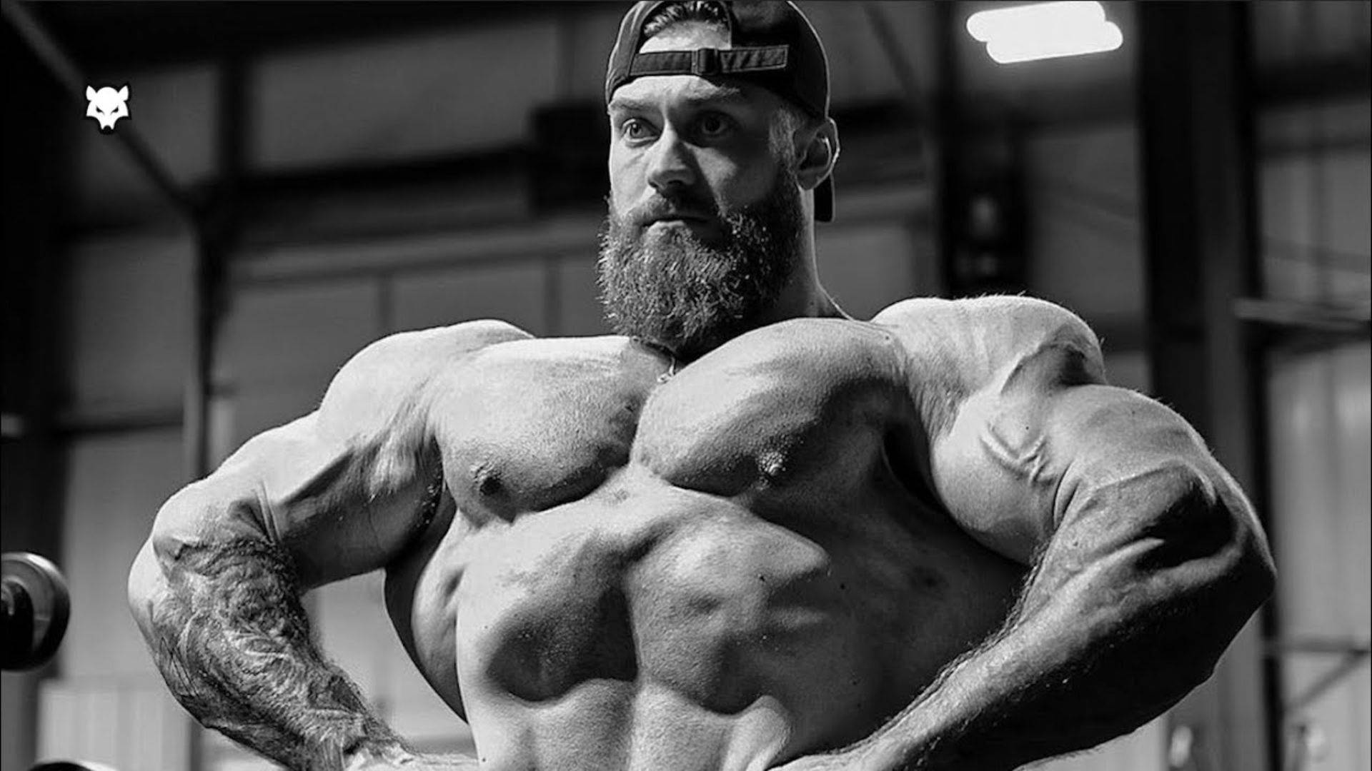 一名留鬍子、有刺青的肌肉男在健身房中彎曲手臂。 — Chris Bumstead 壁紙