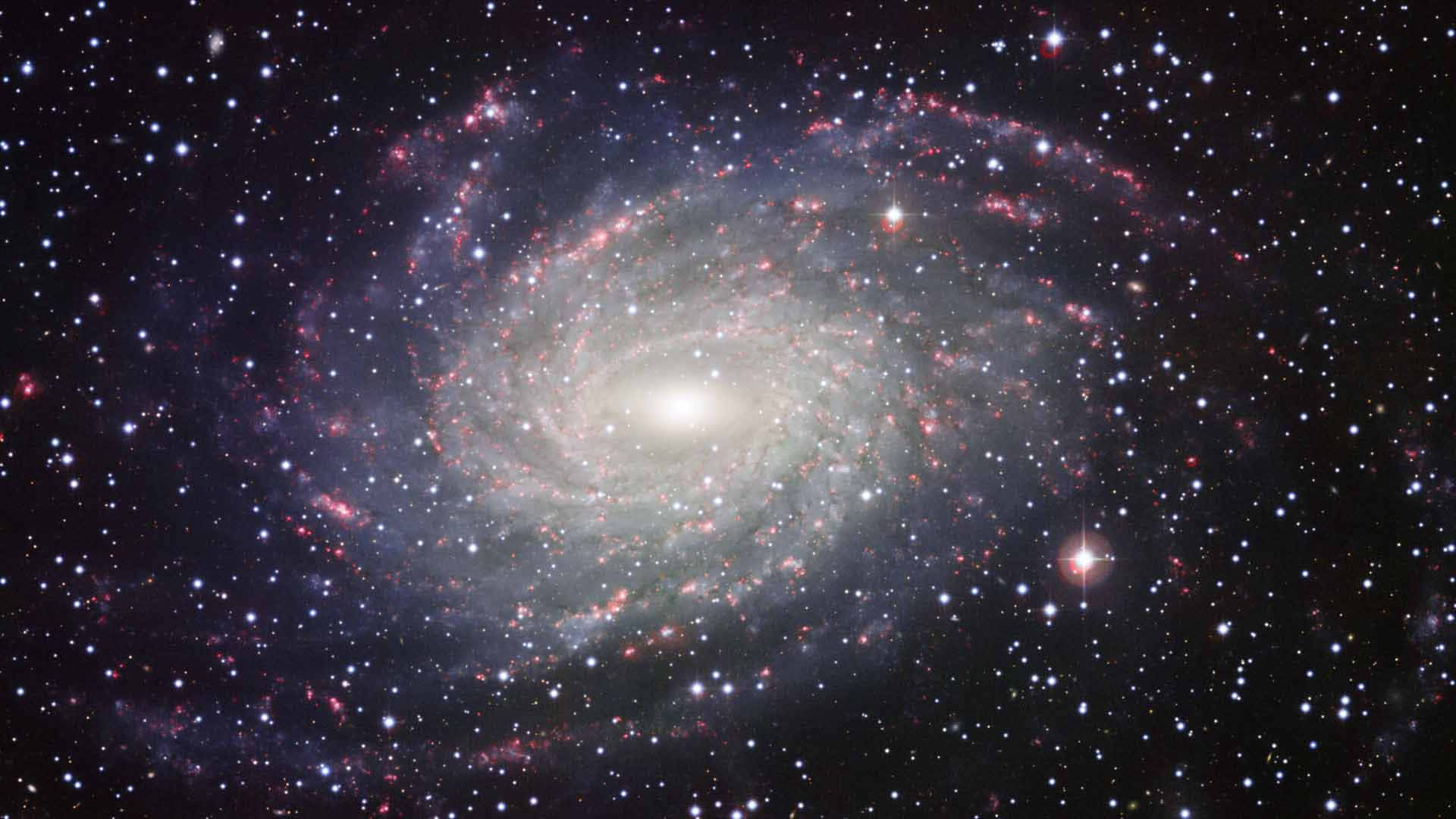 Spiral Galaxy 桌布 壁紙 — 一個令人嘆為觀止的螺旋星系，在佈滿星辰的宇宙虛空中旋轉，散發著粉紅色和白色的星雲光芒。