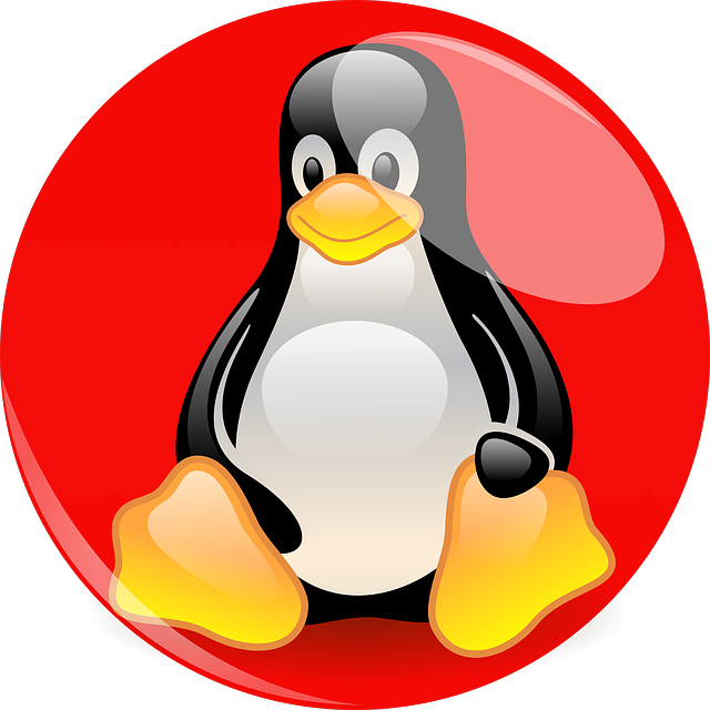 一隻黑白羽毛、黃色腳的卡通企鵝在一個紅色圓圈內。 — Linux 壁紙
