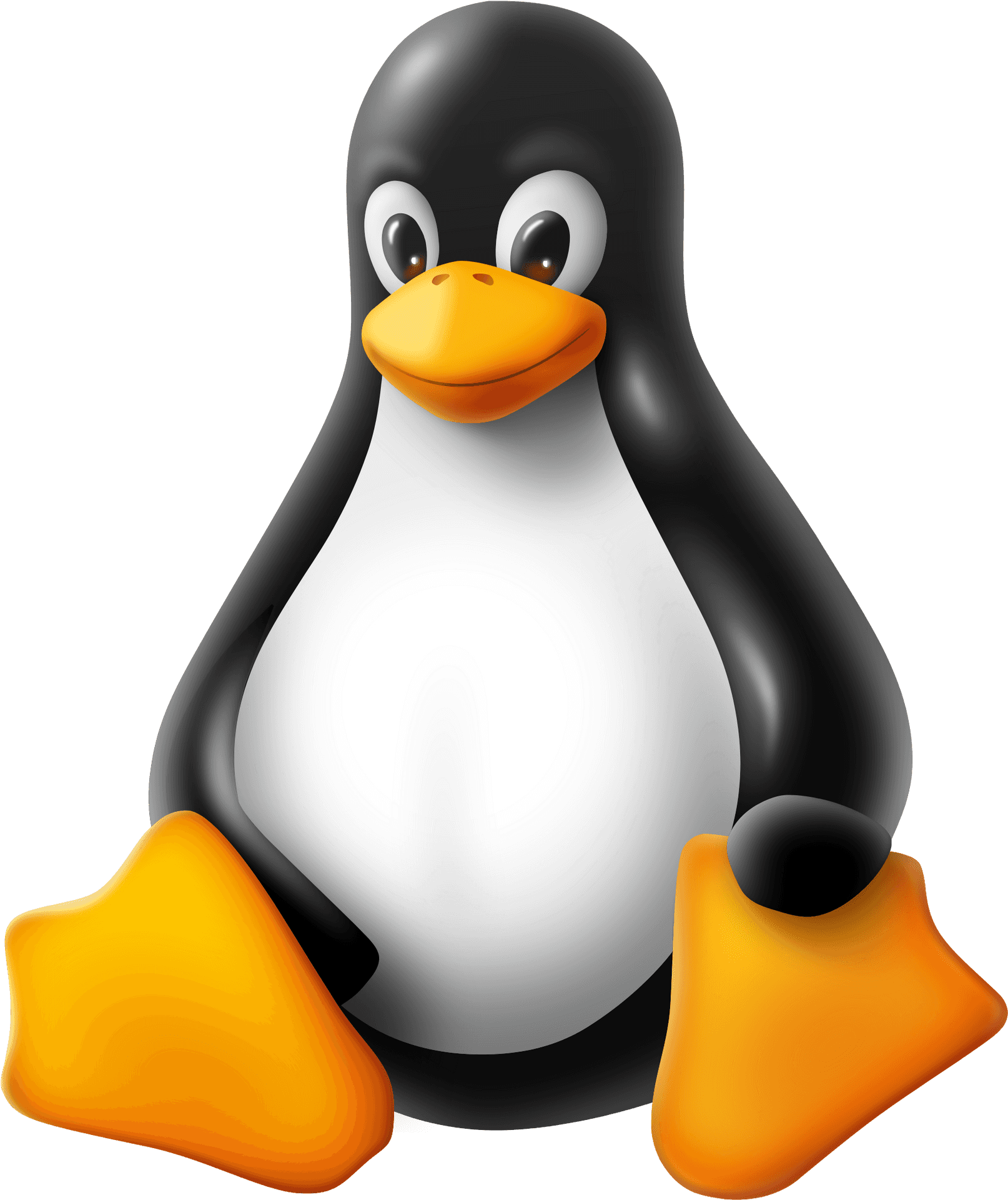 一隻有黑白羽毛和橙色喙和腳的卡通企鵝。 — Linux 壁紙