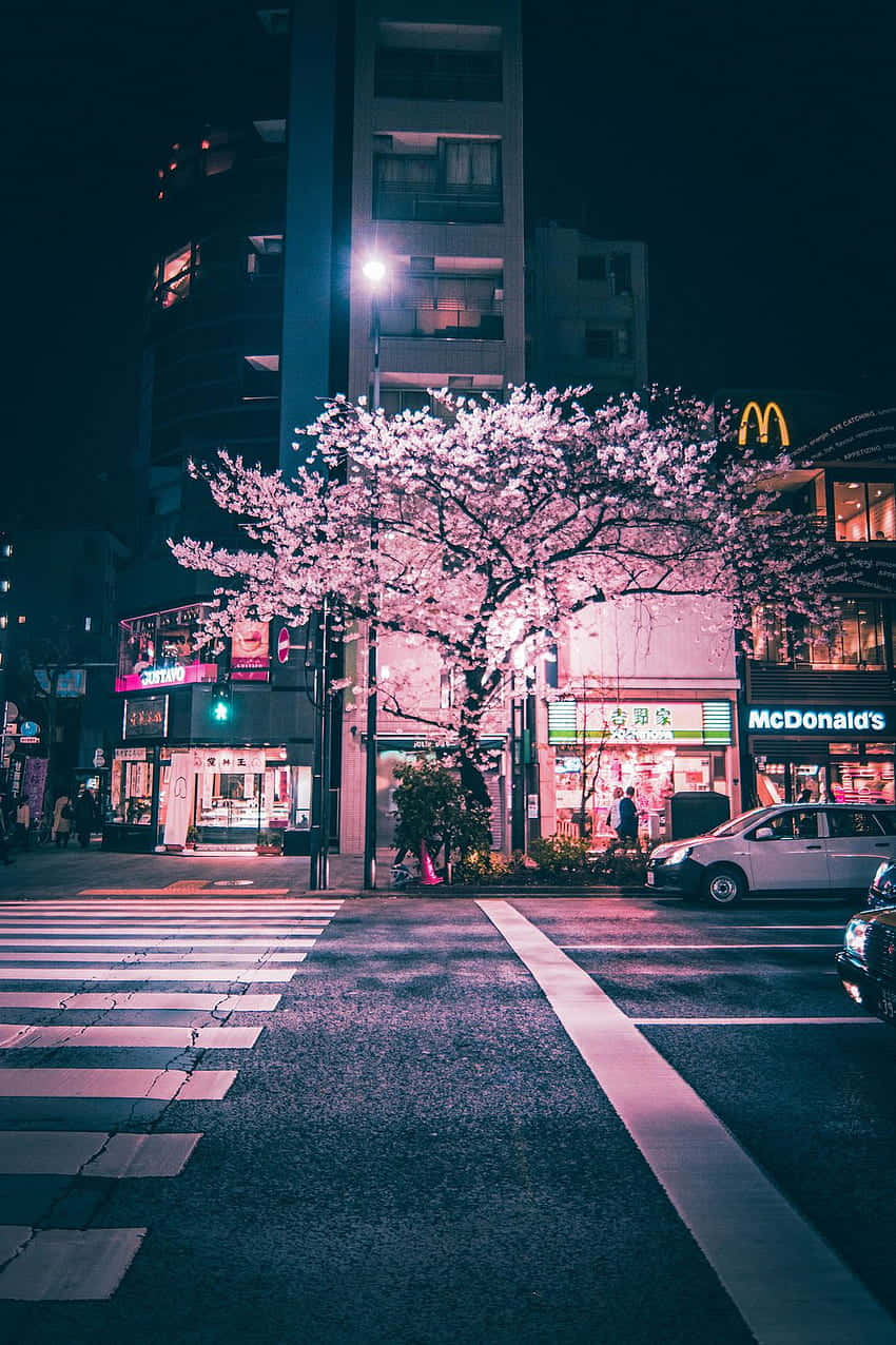 壁紙 — 一棵櫻花樹在夜間東京寧靜的街道上，在霓虹燈下生機勃勃地綻放。