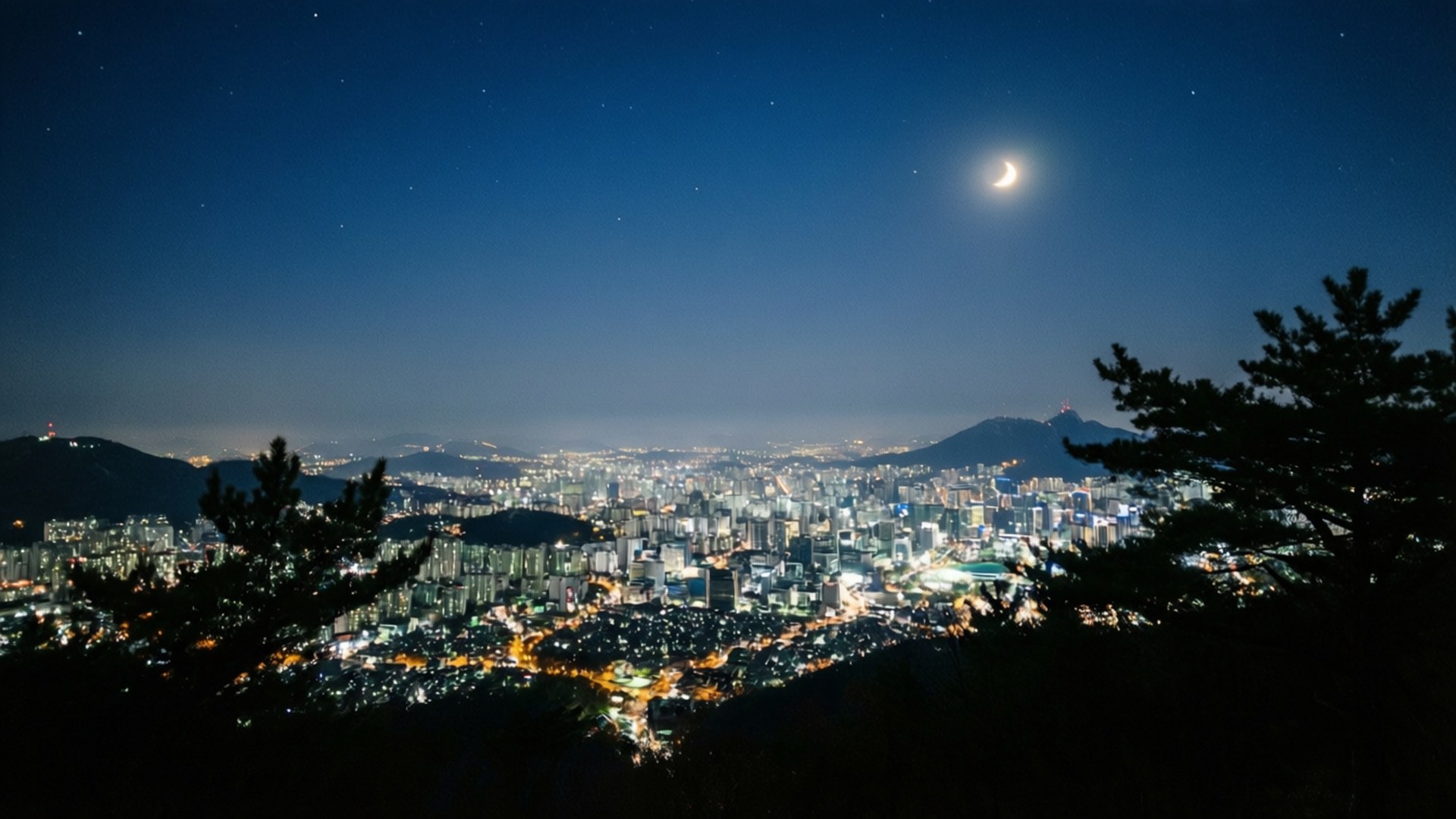 Hwangnyeongsan Night View 壁紙 — 一彎新月和星星在黑夜中照耀著廣闊的城市景觀，被深色松樹框住。