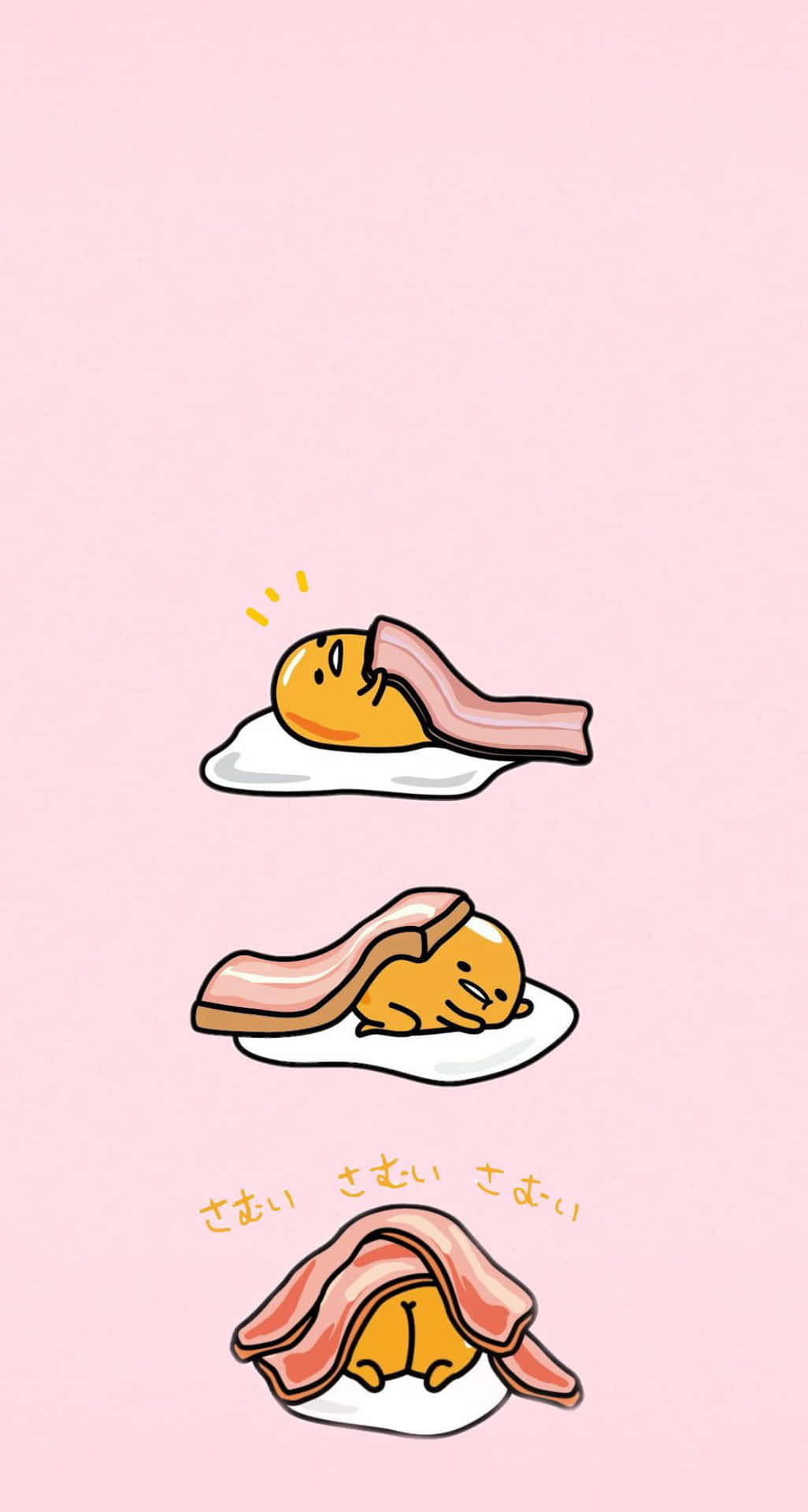 一個可愛的黃色角色在鋪有培根的煎蛋上睡覺。 — Sanrio 壁紙