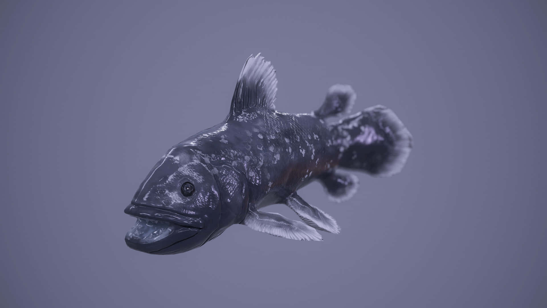  壁紙 — 一條深灰色的古代魚，長有尖刺鰭和發光的眼睛，在柔和的灰色背景中游動。