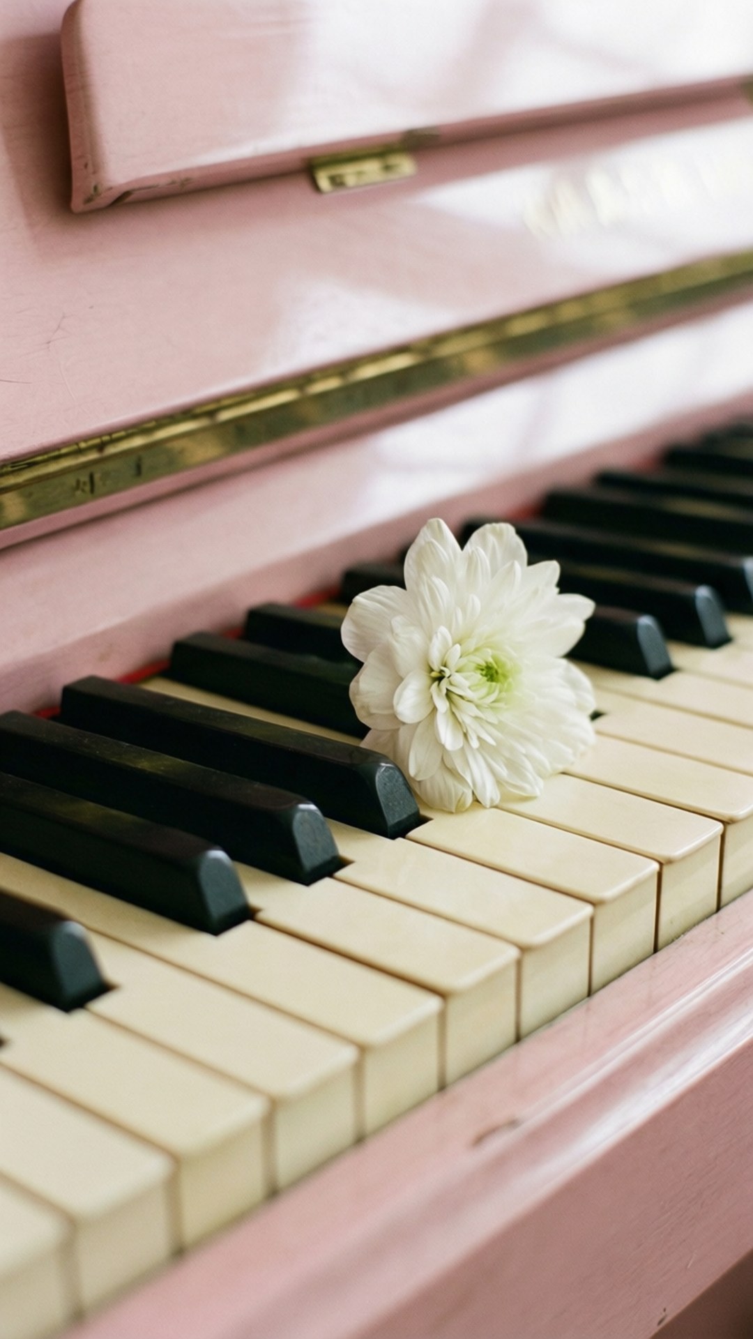 Piano and Petals 壁紙 — 一朵精緻的白花輕輕地放在復古粉紅色的鋼琴琴鍵上，捕捉柔和的光線。