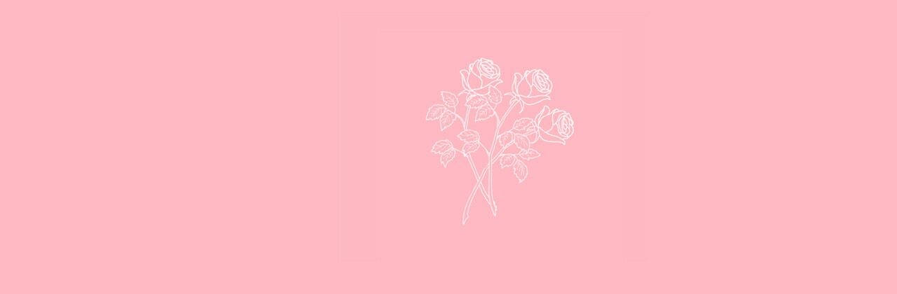 粉紅色背景上的白色線條玫瑰藝術。 — 美學藝術 壁紙