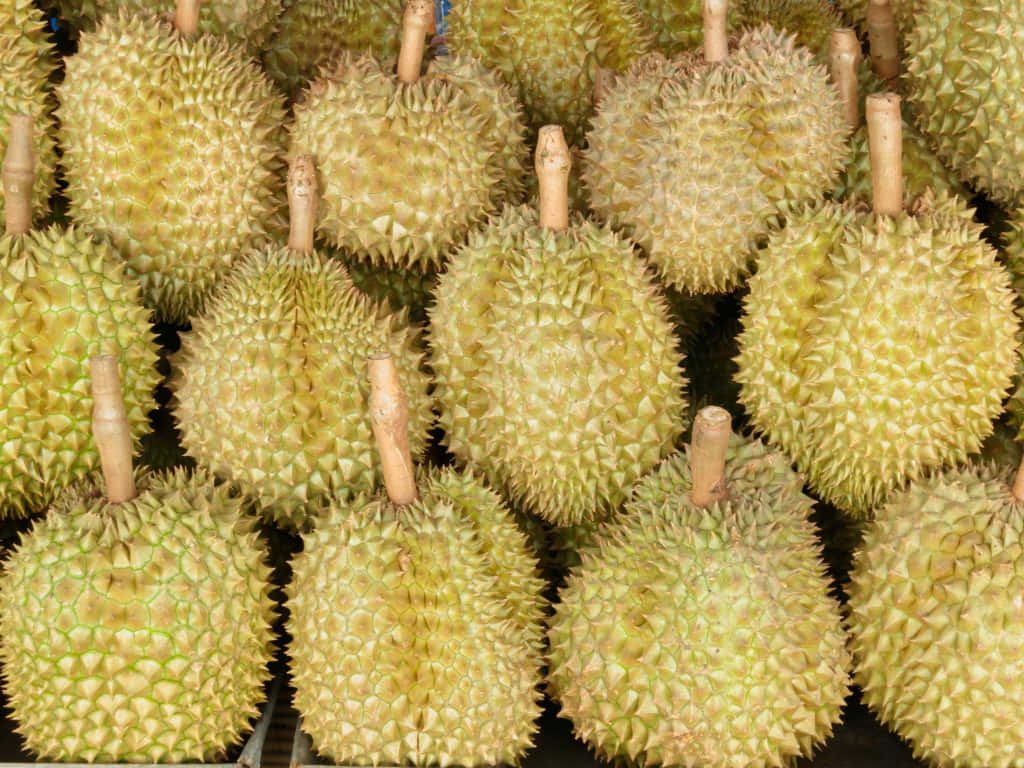  壁紙 — 市場攤位上堆疊的密集綠色黃色帶刺榴槤果實特寫。