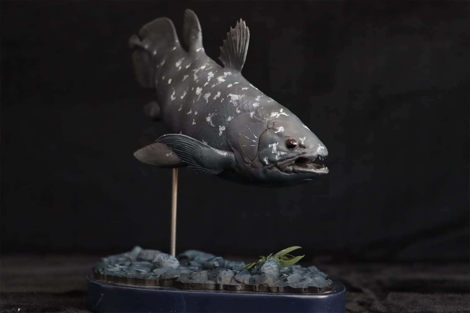  壁紙 — 一個詳細的3D渲染史前魚類模型，具有鋒利的牙齒和深灰色鱗片上的白色斑點，安裝在帶有岩石和葉子的支架上。