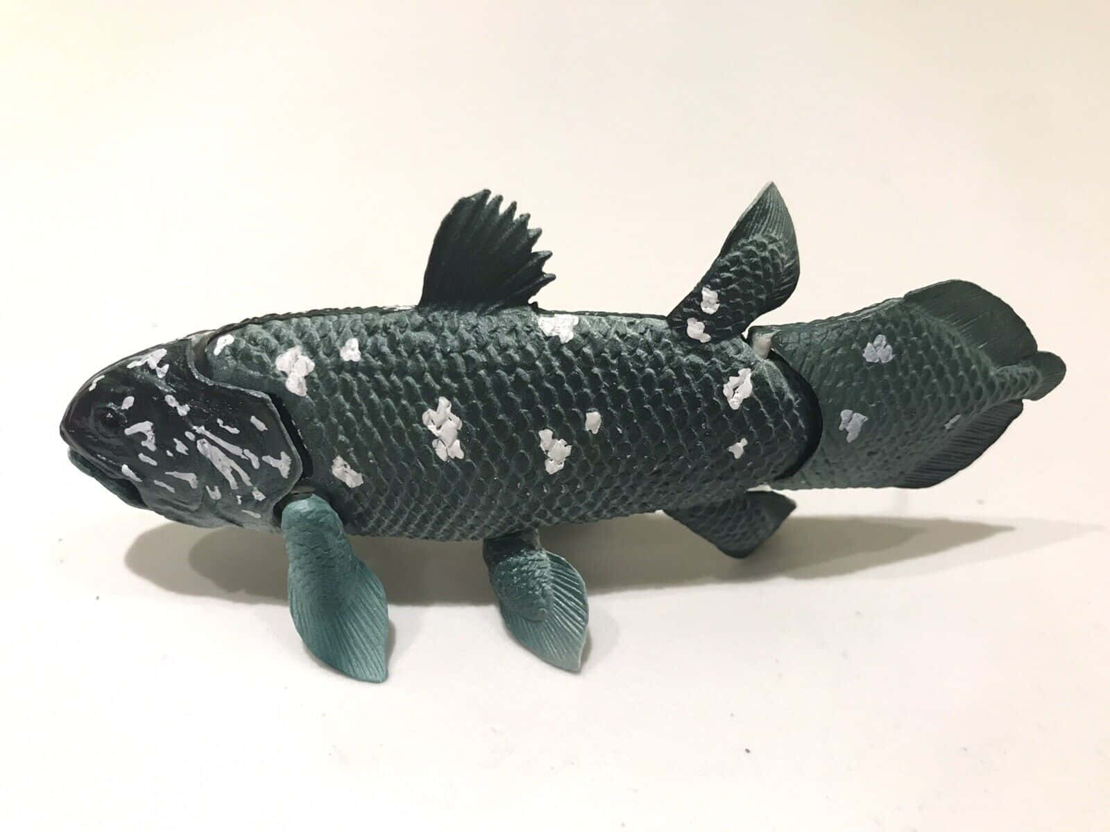  壁紙 — 一個詳細的深綠色魚模型，帶有白色斑點和紋理鱗片，立在純白色表面上。
