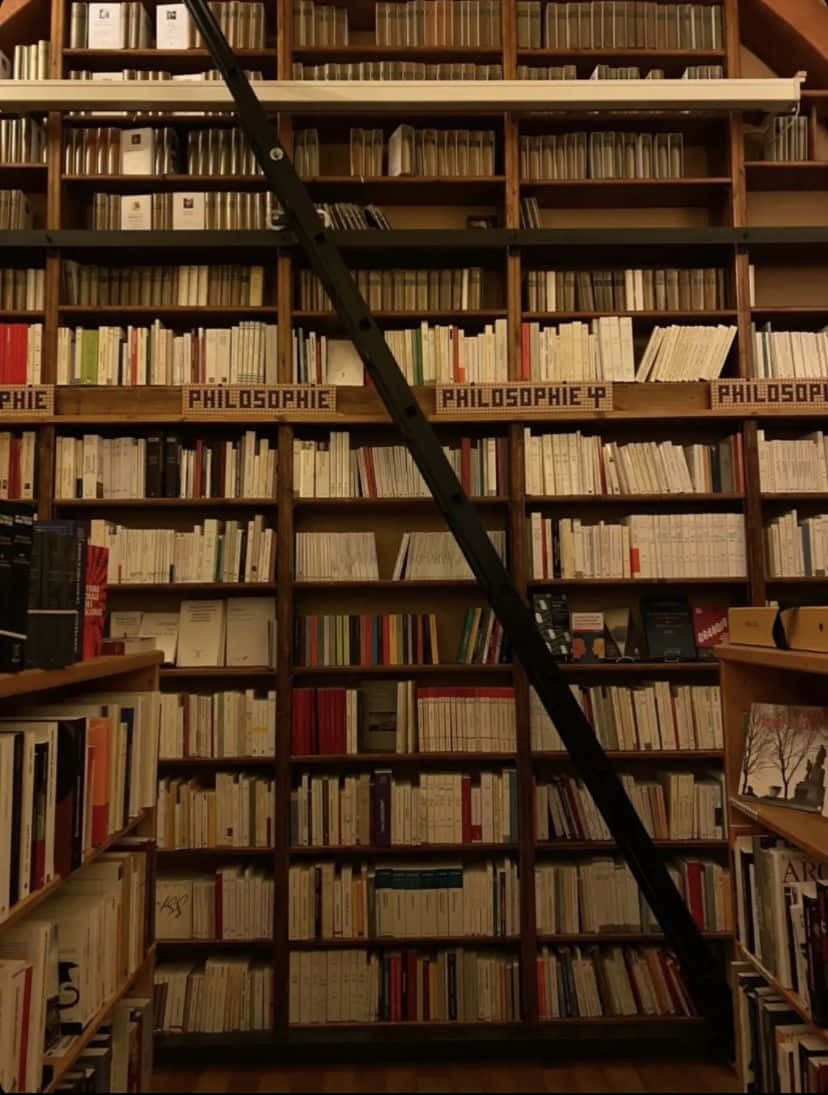  壁紙 — 燈光昏暗的圖書館，有高聳的木製書架，裝滿哲學書籍，還有一把對角線的黑色梯子。