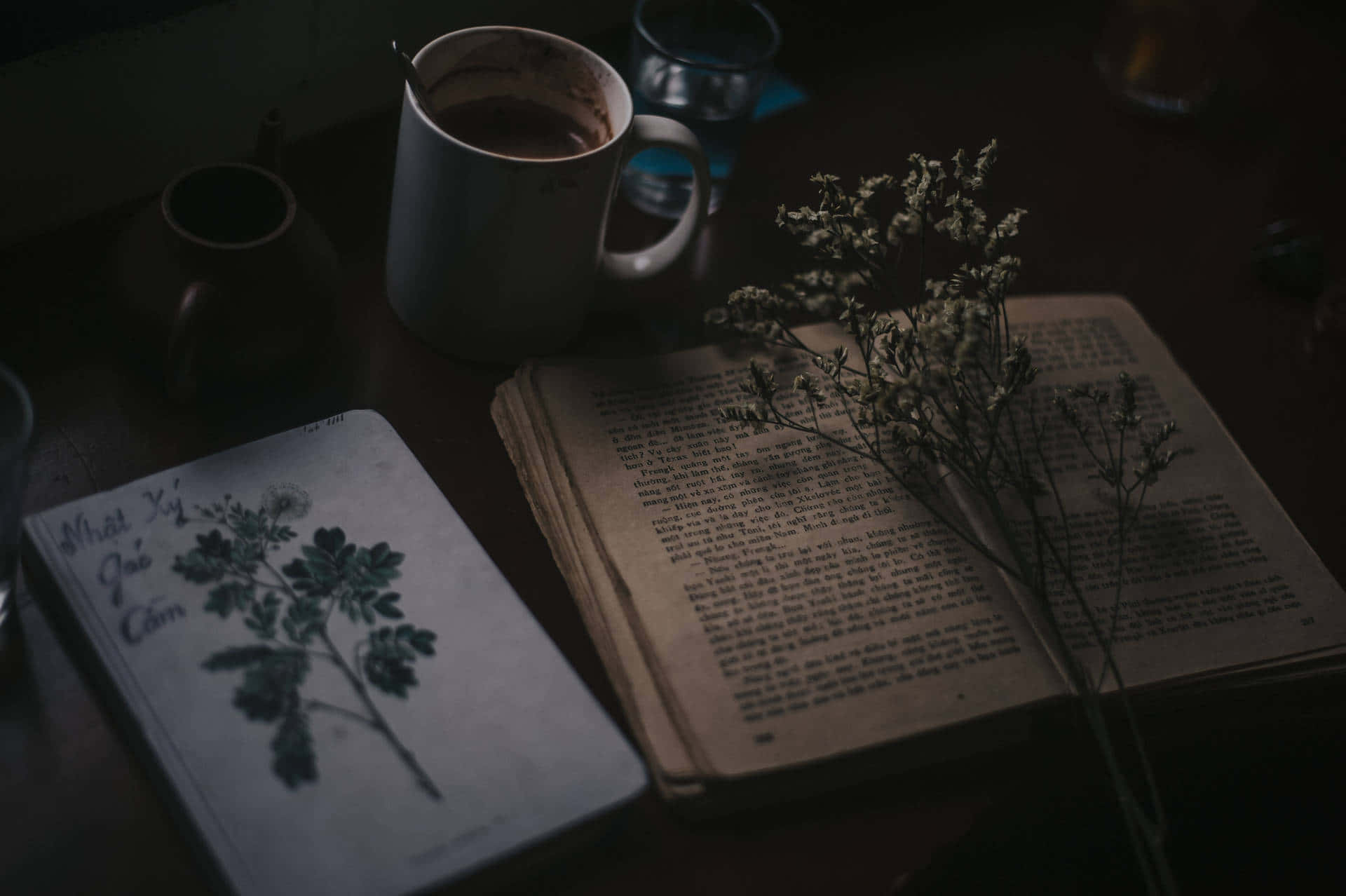 Dark Book Aesthetic 桌布 壁紙 — 一張光線昏暗的木桌上放著一本打開的書、乾燥花、一個咖啡杯和一本帶有植物插圖的筆記本。