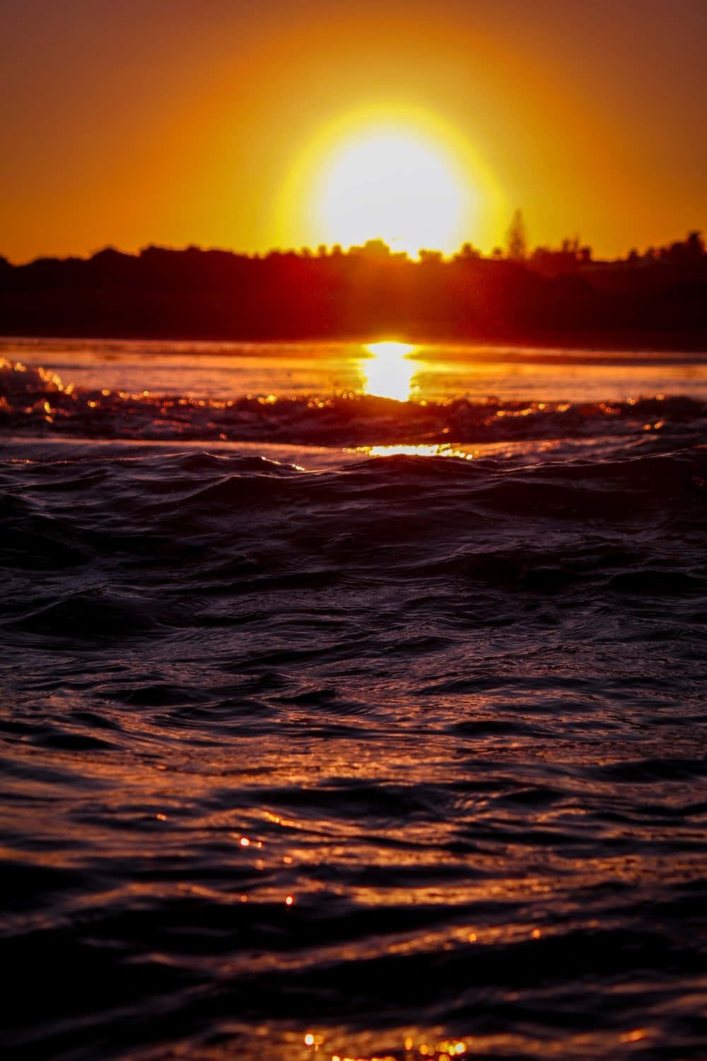 Sunset Photography 桌布 壁紙 — 熾熱的夕陽在漣漪的海浪上閃耀，地平線上遠處樹木的黑色剪影。