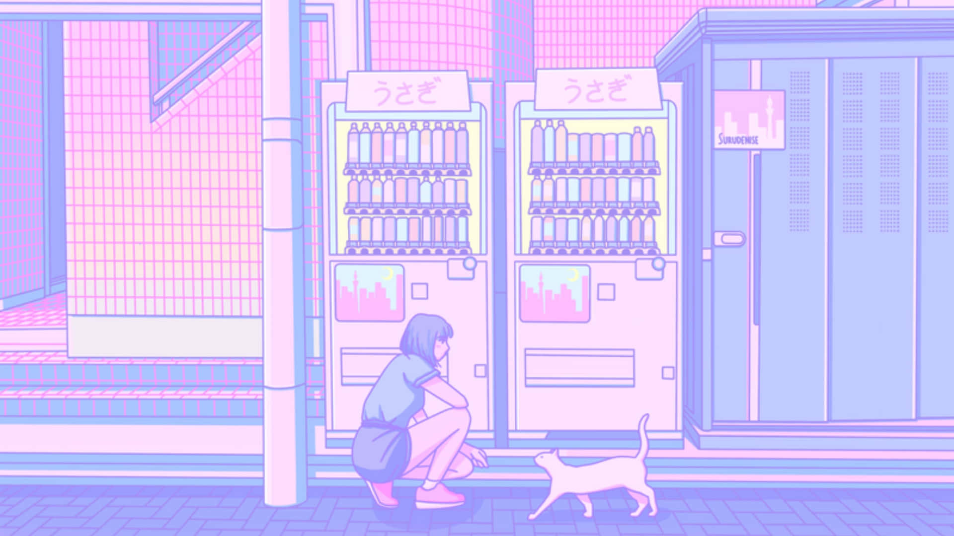 女孩和貓在寧靜的城市小巷中靠近發光的自動販賣機。 — 4K 壁紙