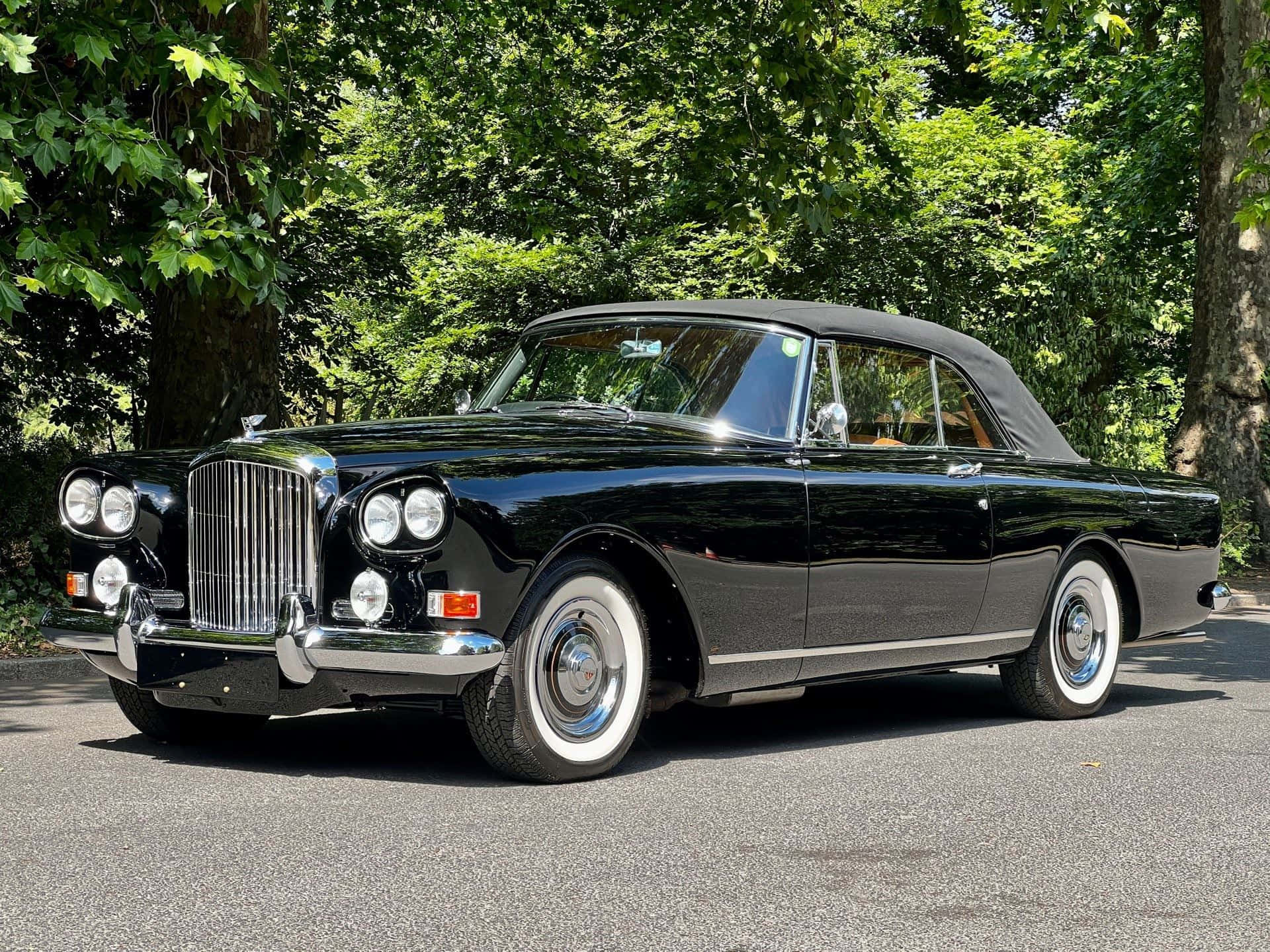 Bentley S3 桌布 壁紙 — 一輛光澤黑色經典敞篷車，帶有鍍鉻裝飾和白色輪胎，停在綠樹成蔭的瀝青路上。