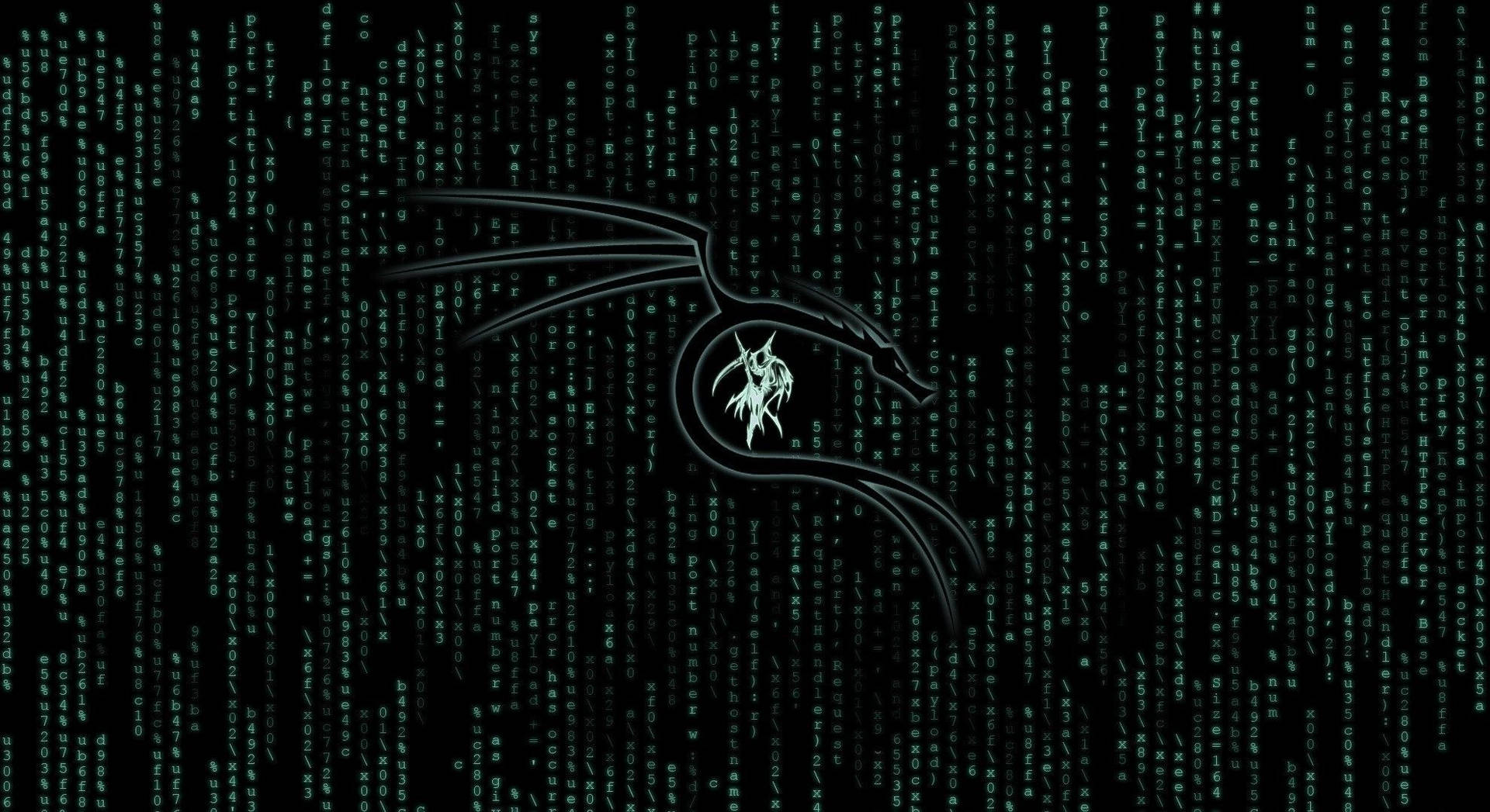 黑色背景上，墜落的數位代碼中的發光綠色龍標誌。 — Kali Linux 壁紙