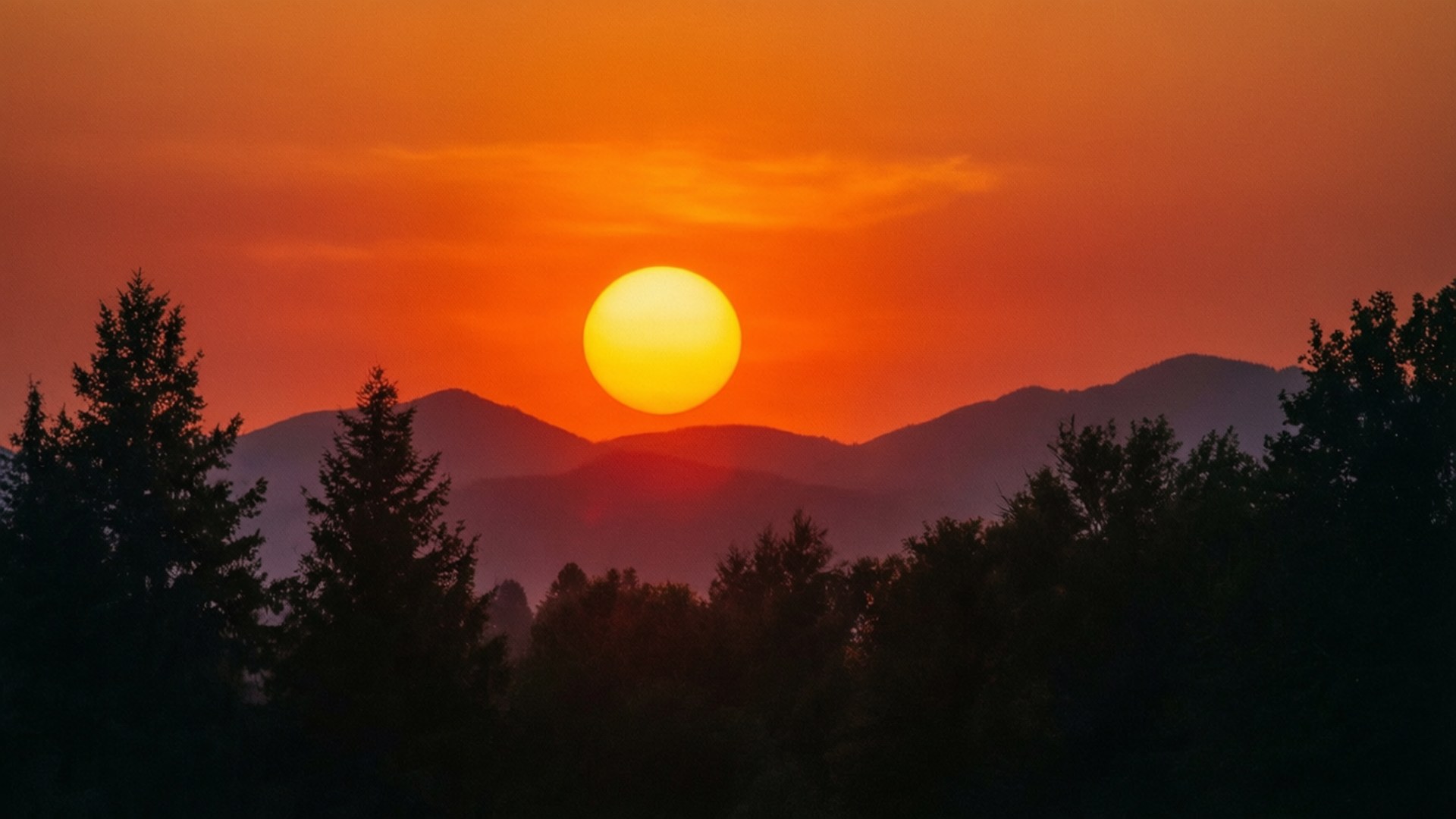 Setting Sun Circle 壁紙 — 一顆發光的橙色太陽落在層層山脊後面，被深色常綠樹的剪影框住。