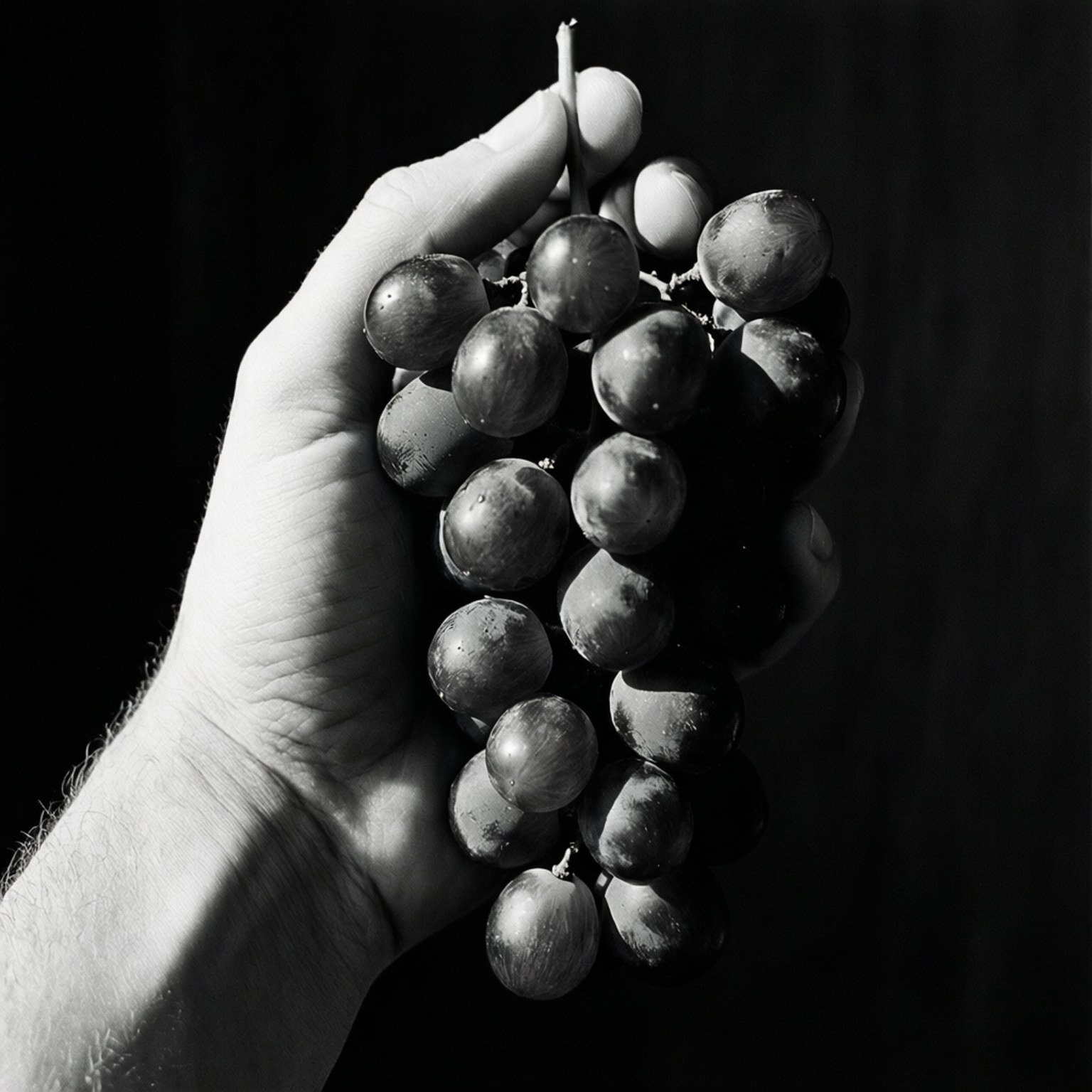 Hand Holding Grapes 壁紙 — 一隻手拿著一串深色葡萄，背景為純黑色，高對比黑白攝影。