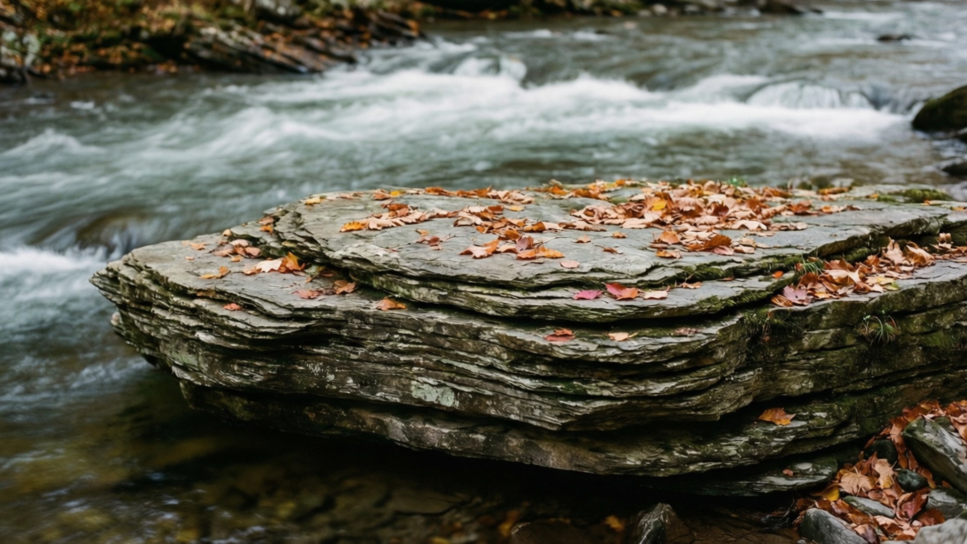 River Rock in Autumn 壁紙 — 一塊層狀灰色岩石，上面覆蓋著掉落的橙色和紅色樹葉，位於水流湍急的溪流中，水景模糊。