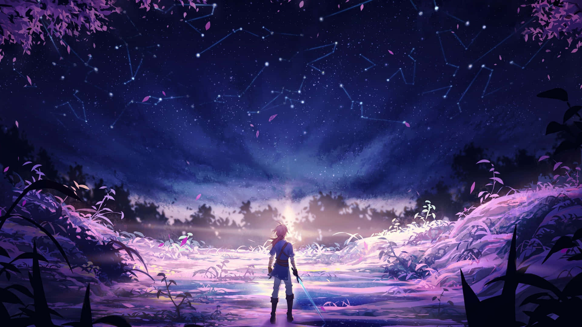動漫戰士站在發光的田野上，星空下可見星座。 — 薩爾達傳說 � Breath of the Wild 壁紙