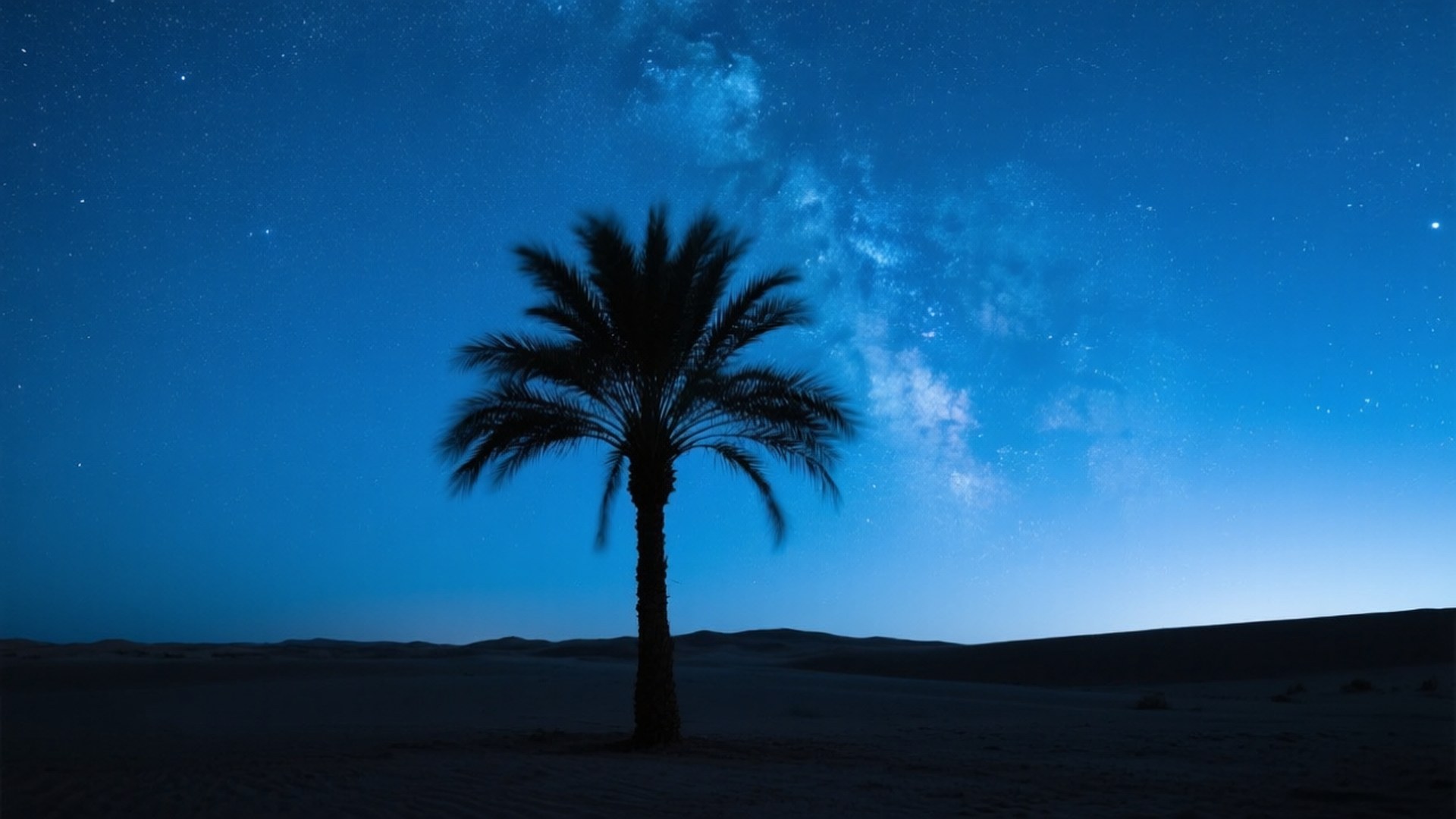 Date Palm Night Sky 壁紙 — 一棵孤獨的棕櫚樹在充滿星星和銀河的鮮豔藍色夜空下，呈現出黑暗的剪影。