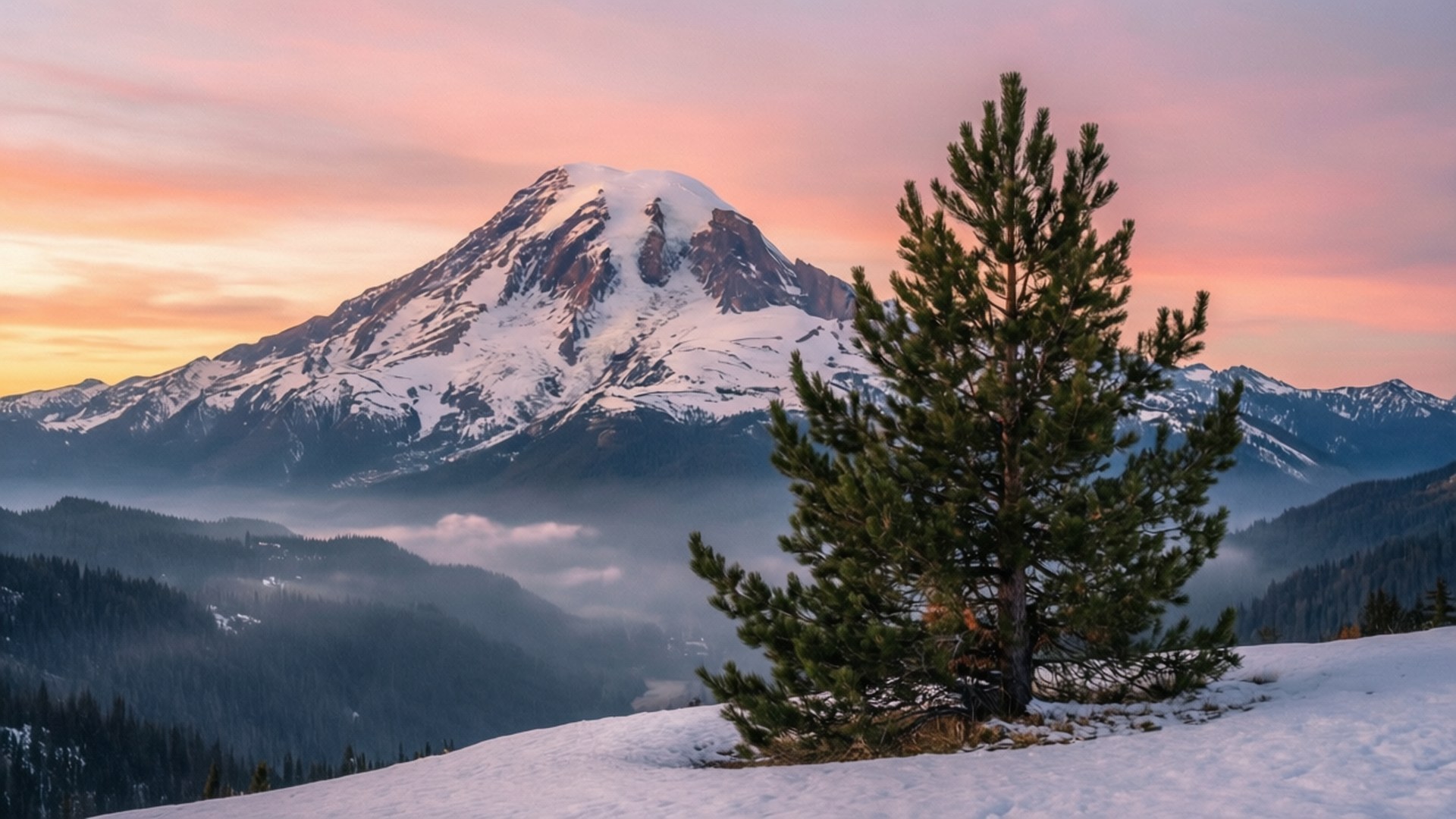 Sunrise Serenity Peak 壁紙 — 一棵孤獨的松樹立在雪地上，前面是一座雄偉的雪山，在粉紅色和橙色的日落光芒中閃耀。
