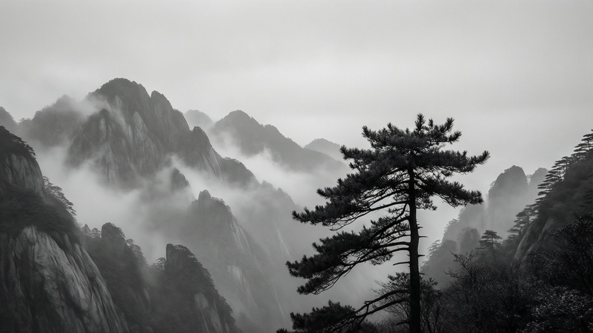 Misty Grey Mountain Range 壁紙 — 一棵孤獨的松樹在單色風景中堅韌地矗立在霧氣繚繞的山峰前。