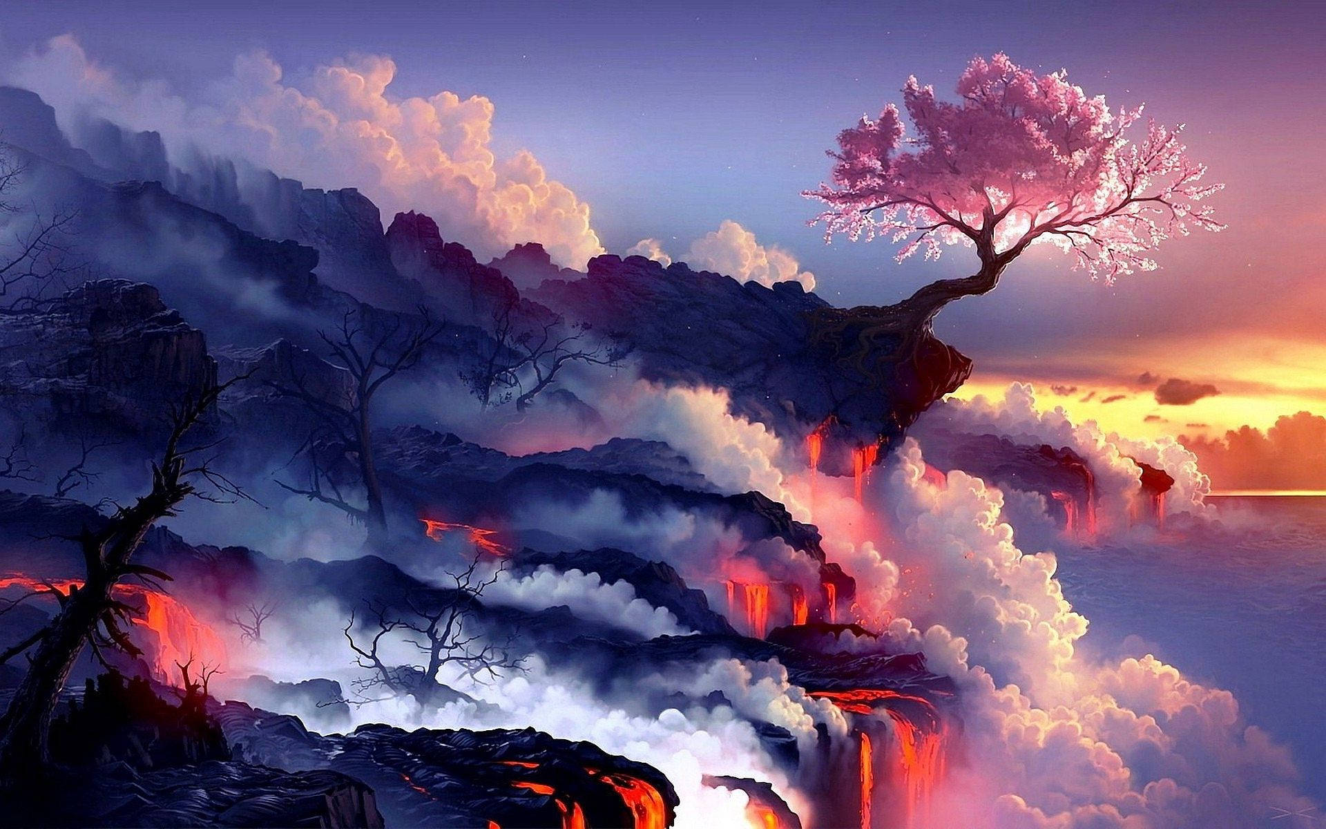 一棵櫻花樹在懸崖上俯瞰著夕陽下的熔岩流和雲層。 — 櫻花 壁紙